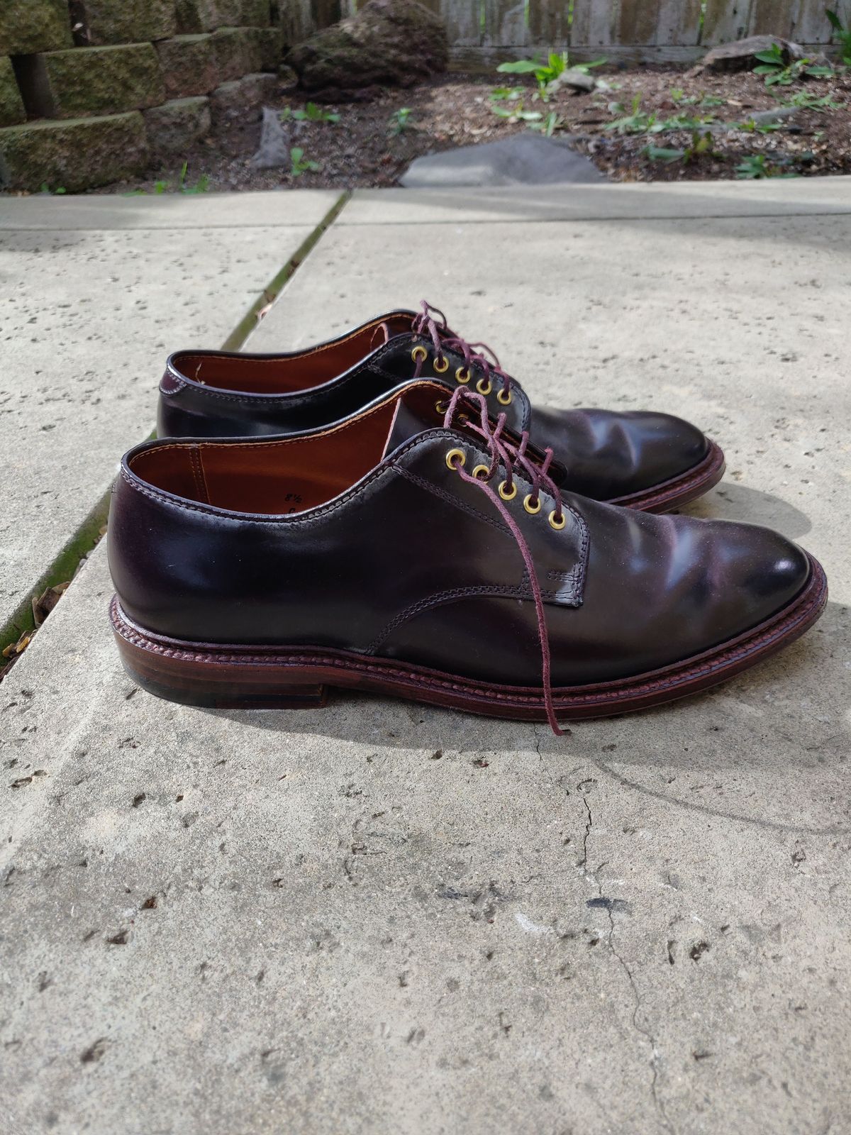Photo by patinathunderdome on February 4, 2022 of the Alden Dover in Horween Color 8 Shell Cordovan.