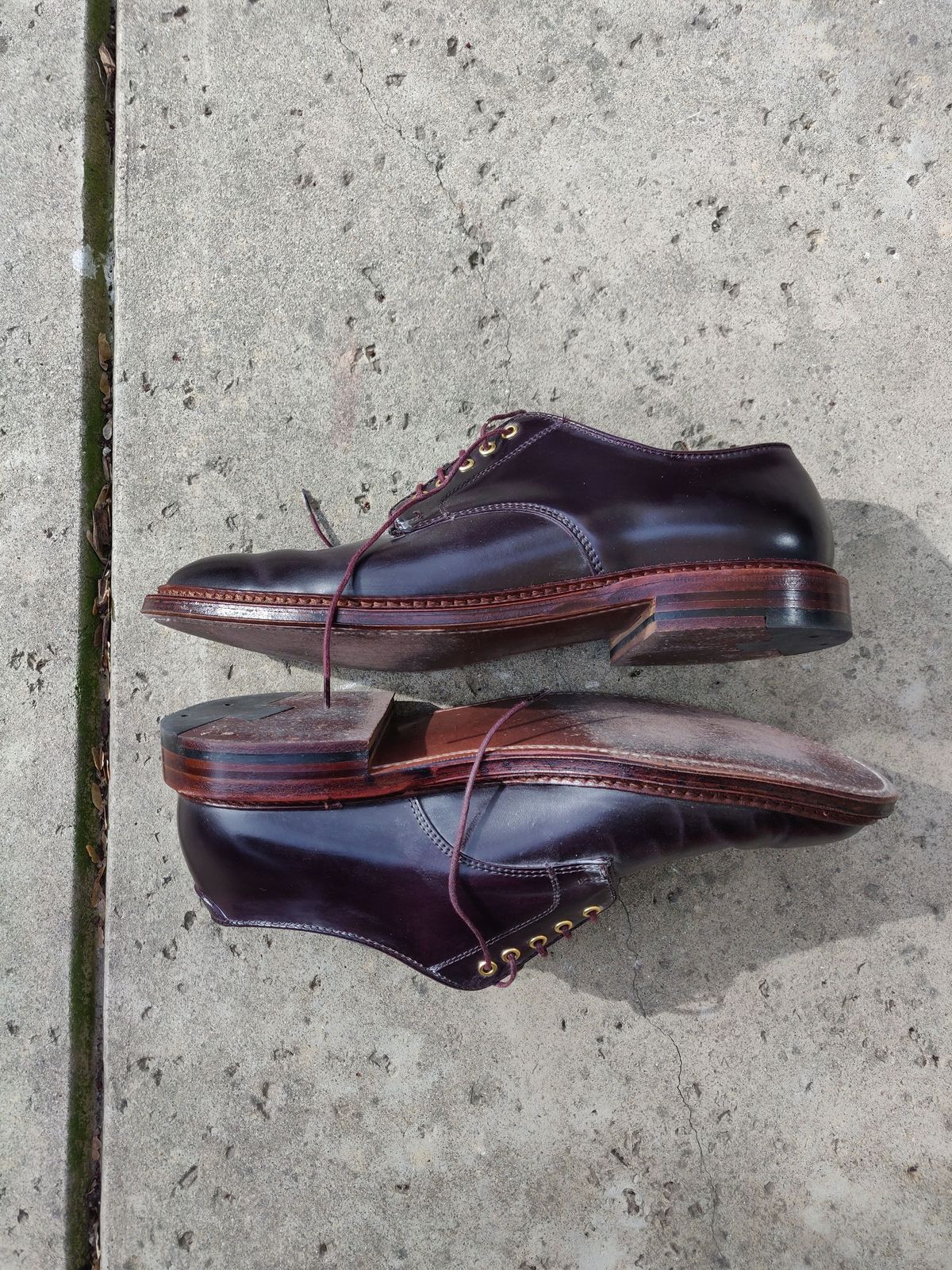 Photo by patinathunderdome on February 4, 2022 of the Alden Dover in Horween Color 8 Shell Cordovan.