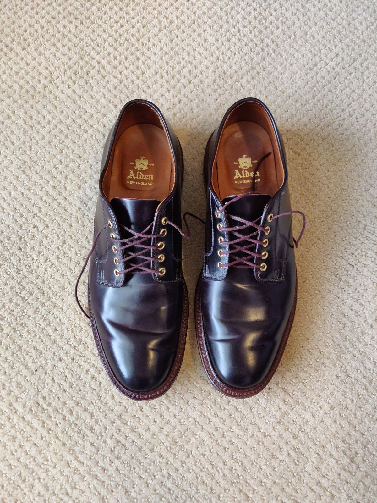 Photo by patinathunderdome on March 1, 2022 of the Alden Dover in Horween Color 8 Shell Cordovan.