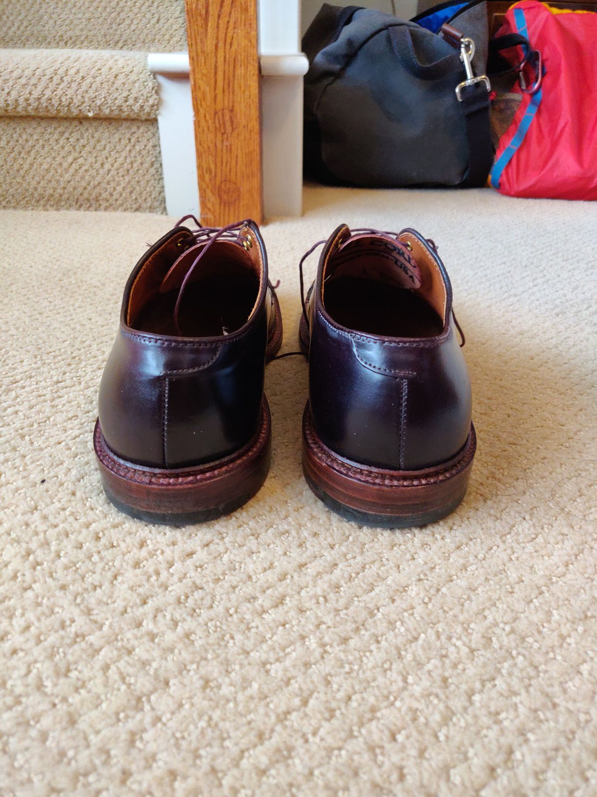 Photo by patinathunderdome on March 1, 2022 of the Alden Dover in Horween Color 8 Shell Cordovan.