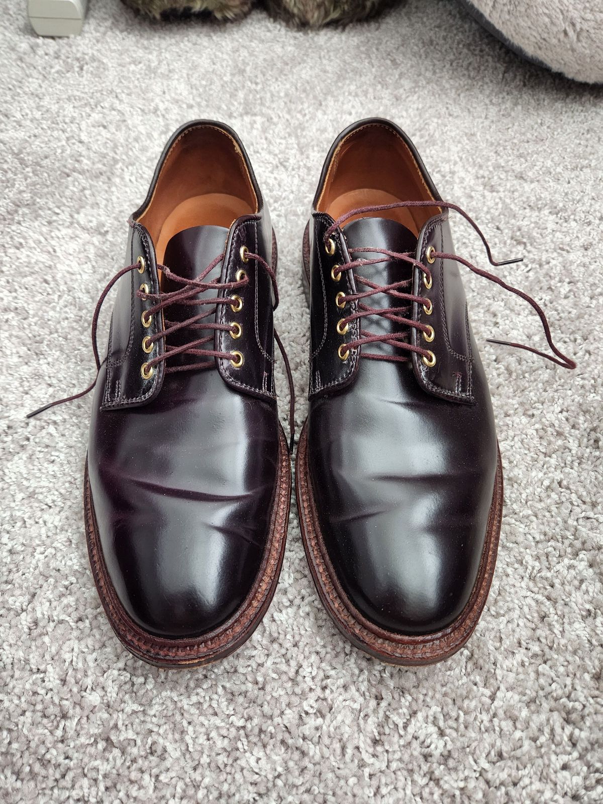 Photo by patinathunderdome on April 3, 2022 of the Alden Dover in Horween Color 8 Shell Cordovan.