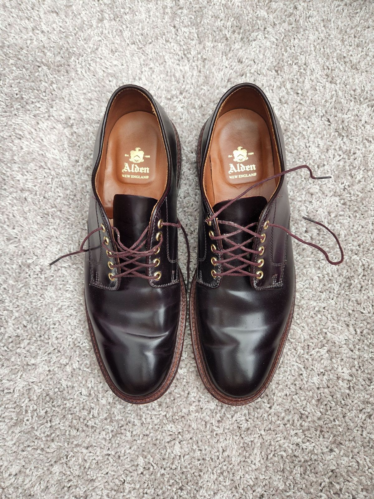 Photo by patinathunderdome on April 3, 2022 of the Alden Dover in Horween Color 8 Shell Cordovan.