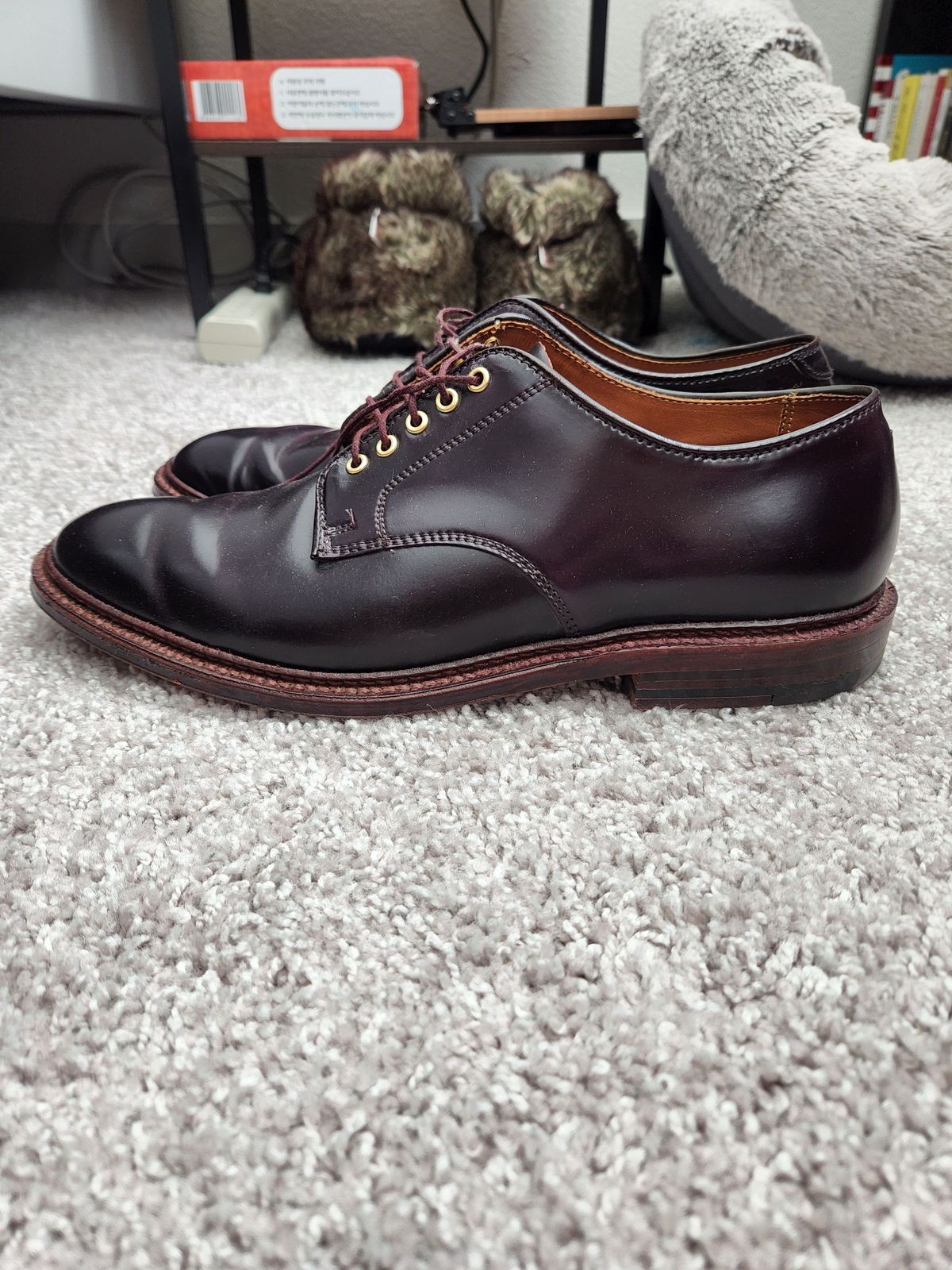 Photo by patinathunderdome on April 3, 2022 of the Alden Dover in Horween Color 8 Shell Cordovan.