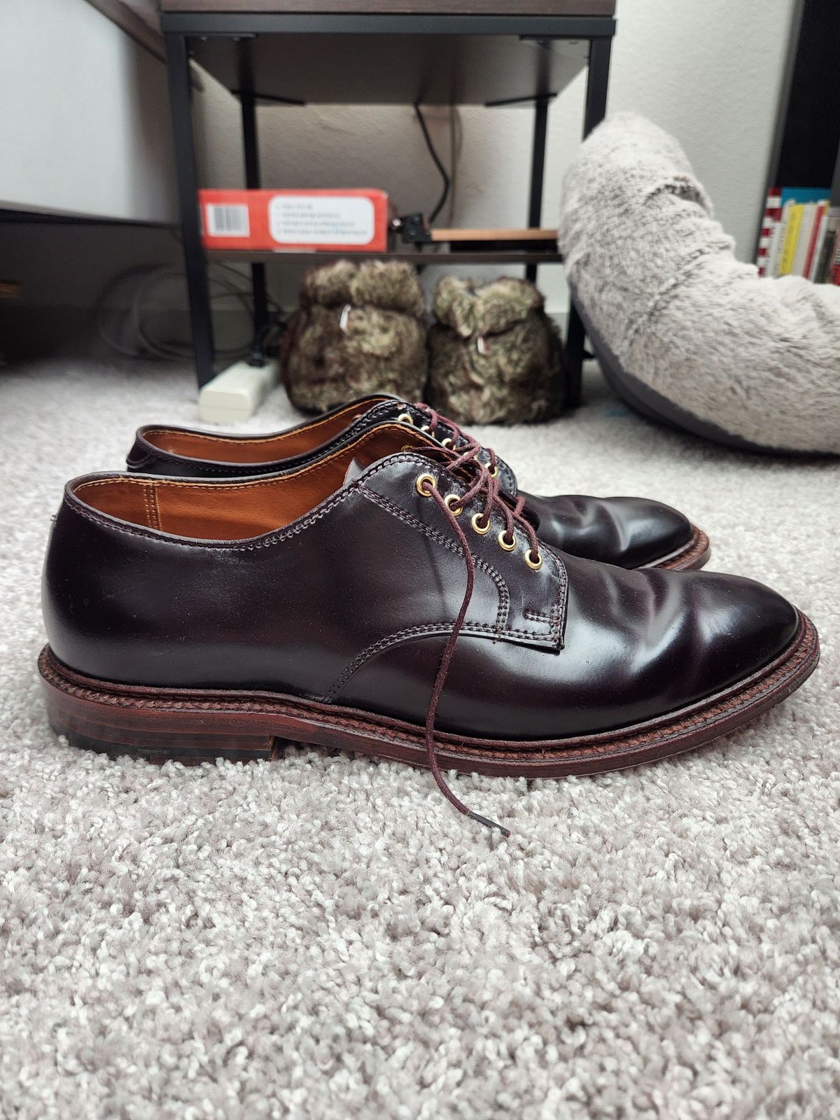 Photo by patinathunderdome on April 3, 2022 of the Alden Dover in Horween Color 8 Shell Cordovan.