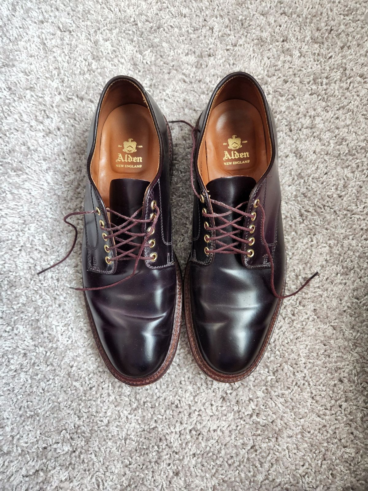 Photo by patinathunderdome on May 2, 2022 of the Alden Dover in Horween Color 8 Shell Cordovan.