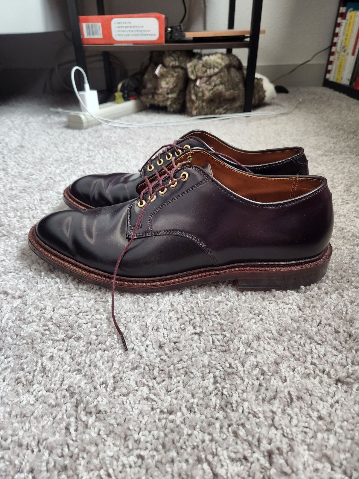 Photo by patinathunderdome on May 2, 2022 of the Alden Dover in Horween Color 8 Shell Cordovan.