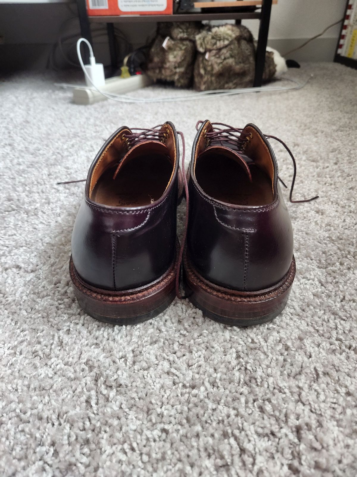 Photo by patinathunderdome on May 2, 2022 of the Alden Dover in Horween Color 8 Shell Cordovan.