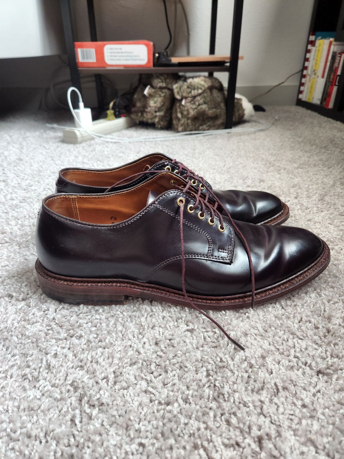 Photo by patinathunderdome on May 2, 2022 of the Alden Dover in Horween Color 8 Shell Cordovan.