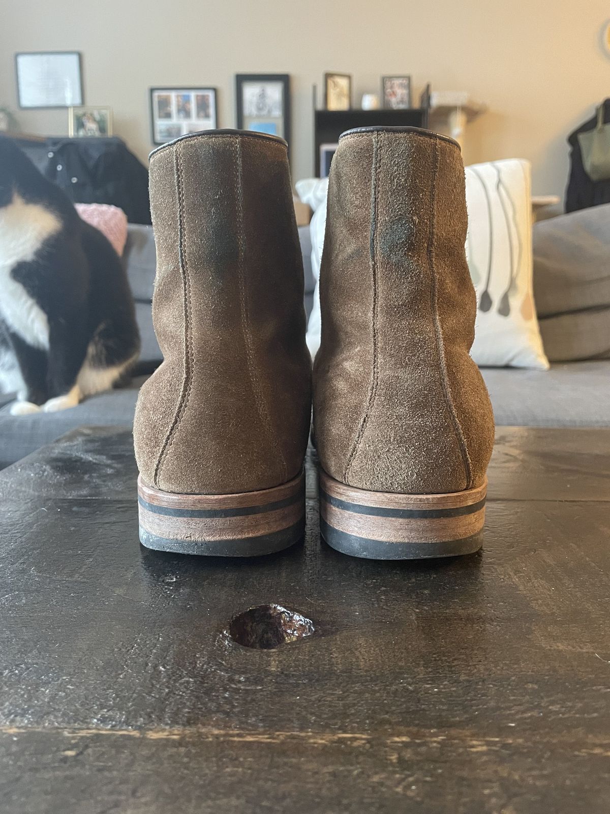 Photo by patinathunderdome on February 3, 2022 of the Viberg Halkett in C.F. Stead Snuff Bison Calf Suede.