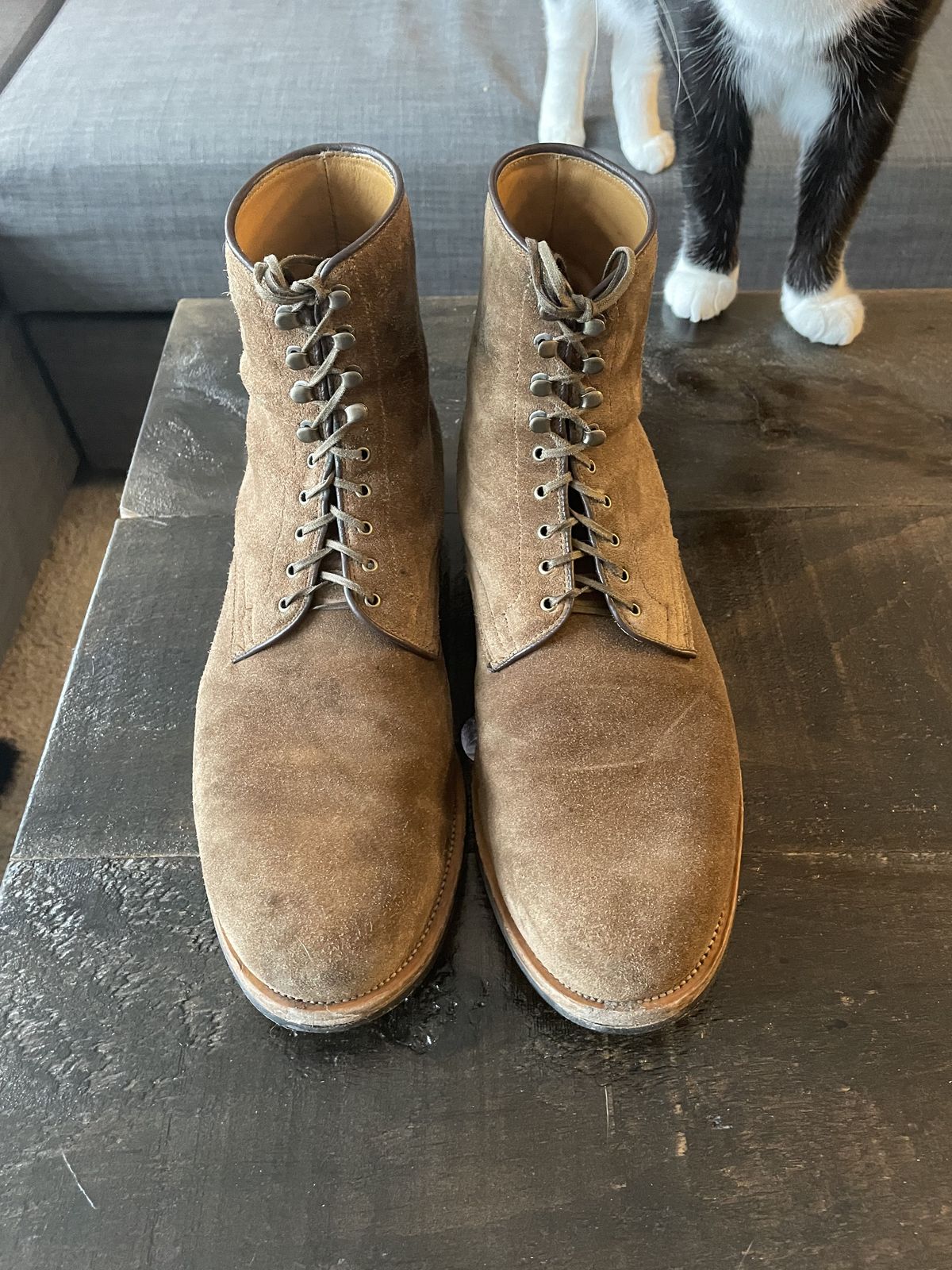 Photo by patinathunderdome on February 3, 2022 of the Viberg Halkett in C.F. Stead Snuff Bison Calf Suede.