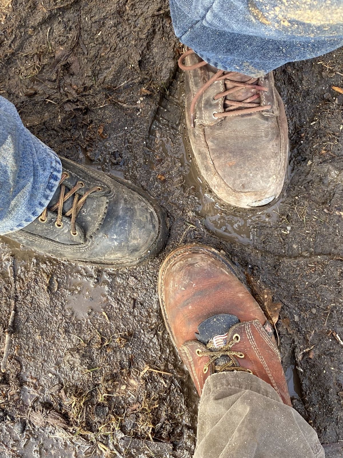 Photo by patinathunderdome on March 5, 2022 of the Thorogood 8" Plain Toe in Tobacco.