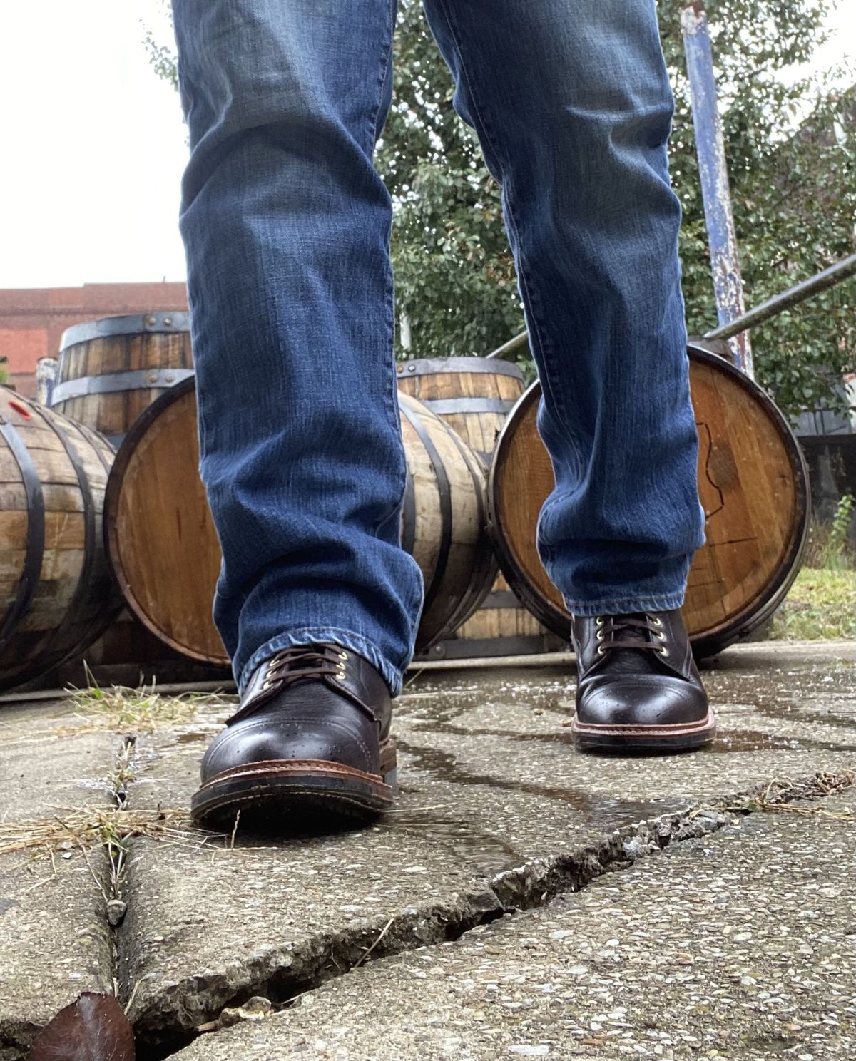 Photo by patinathunderdome on November 3, 2021 of the Alden x Stitchdown Stitchup 2.0 in Horween Arabica Lux Calfskin.