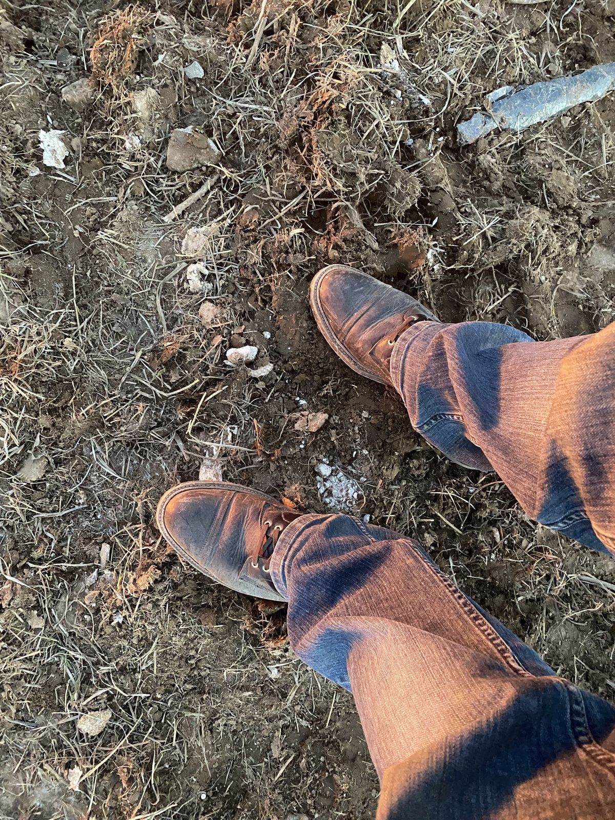 Photo by patinathunderdome on January 6, 2022 of the Alden x Stitchdown Stitchup 2.0 in Horween Arabica Lux Calfskin.
