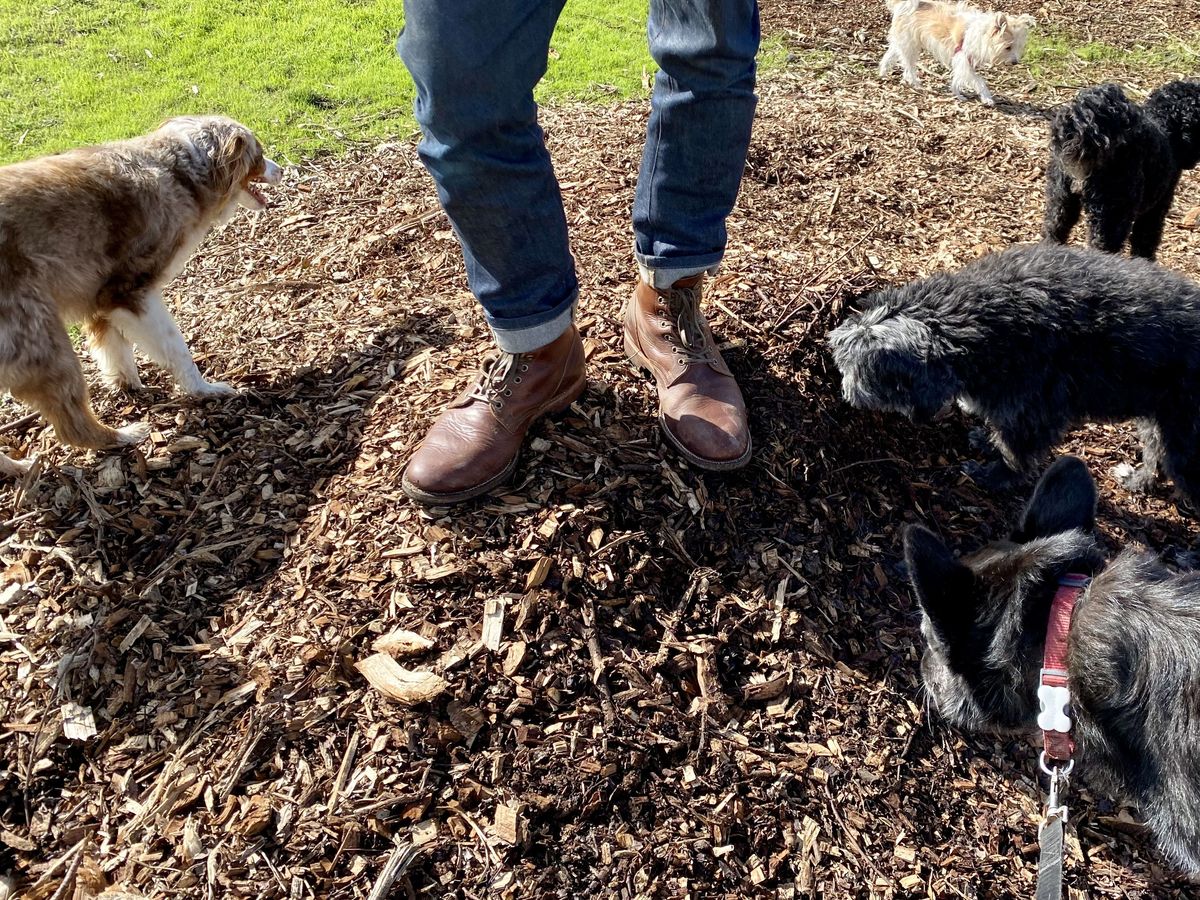 Photo by patinathunderdome on November 4, 2021 of the Viberg Service Boot in Horween Dark Rubber Dublin.