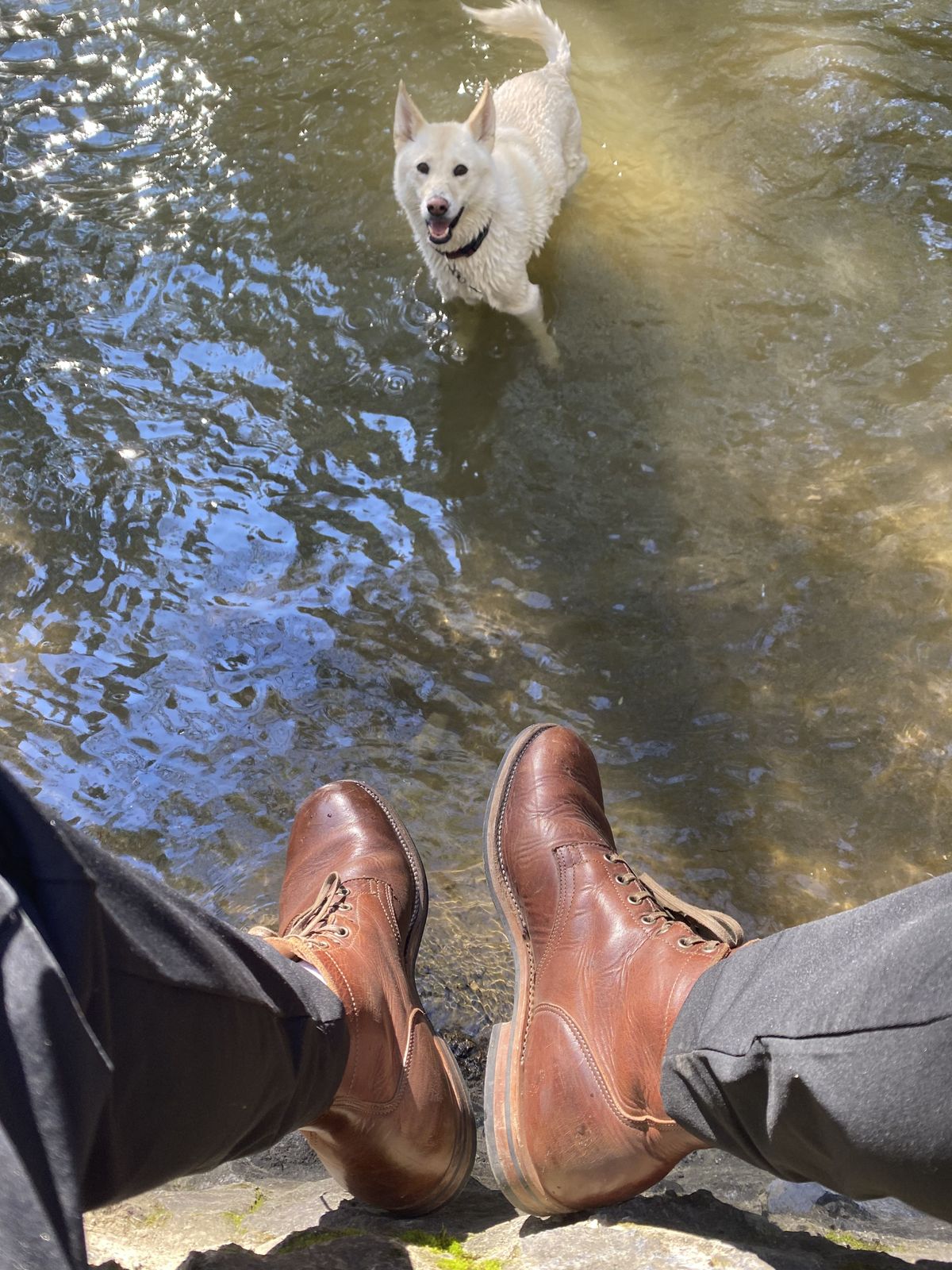 Photo by patinathunderdome on February 6, 2022 of the Viberg Service Boot in Horween Dark Rubber Dublin.