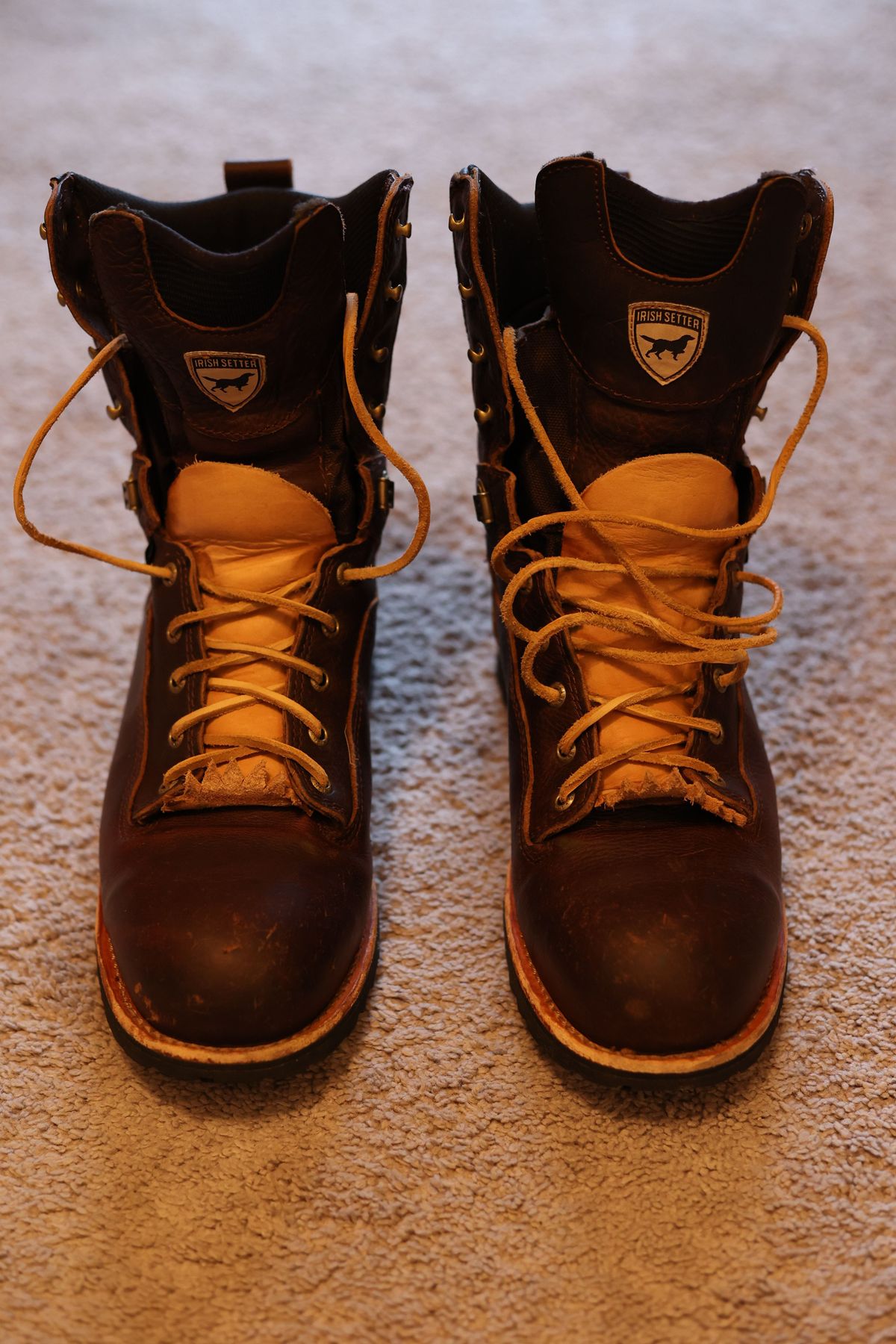 Photo by patinathunderdome on December 1, 2021 of the Irish Setter Mesabi in Brown Full Grain Waterproof.