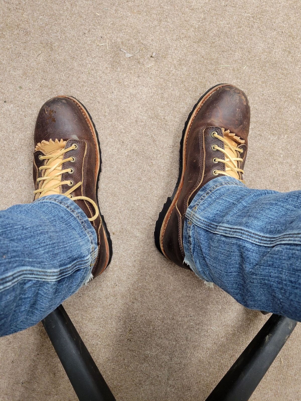 Photo by patinathunderdome on January 3, 2022 of the Irish Setter Mesabi in Brown Full Grain Waterproof.