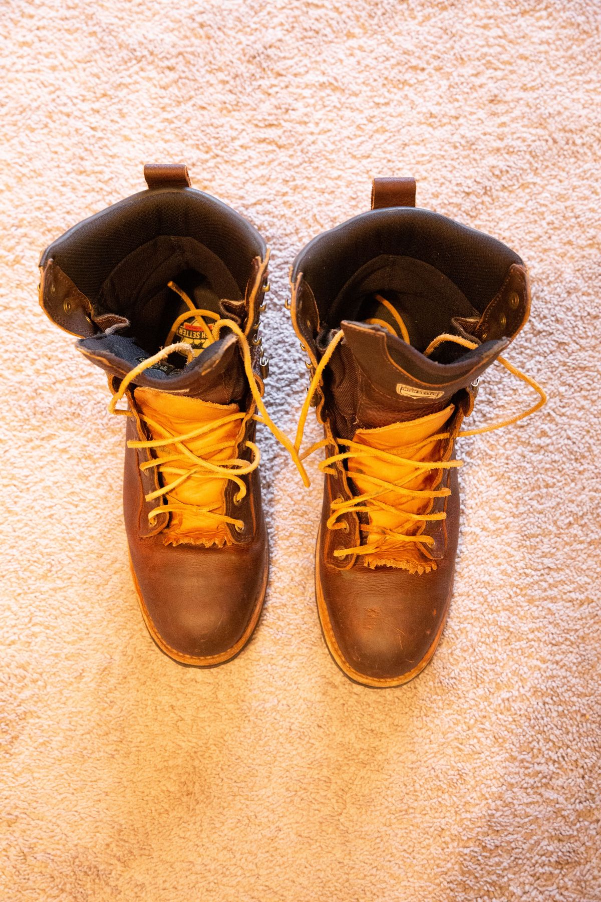 Photo by patinathunderdome on February 1, 2022 of the Irish Setter Mesabi in Brown Full Grain Waterproof.