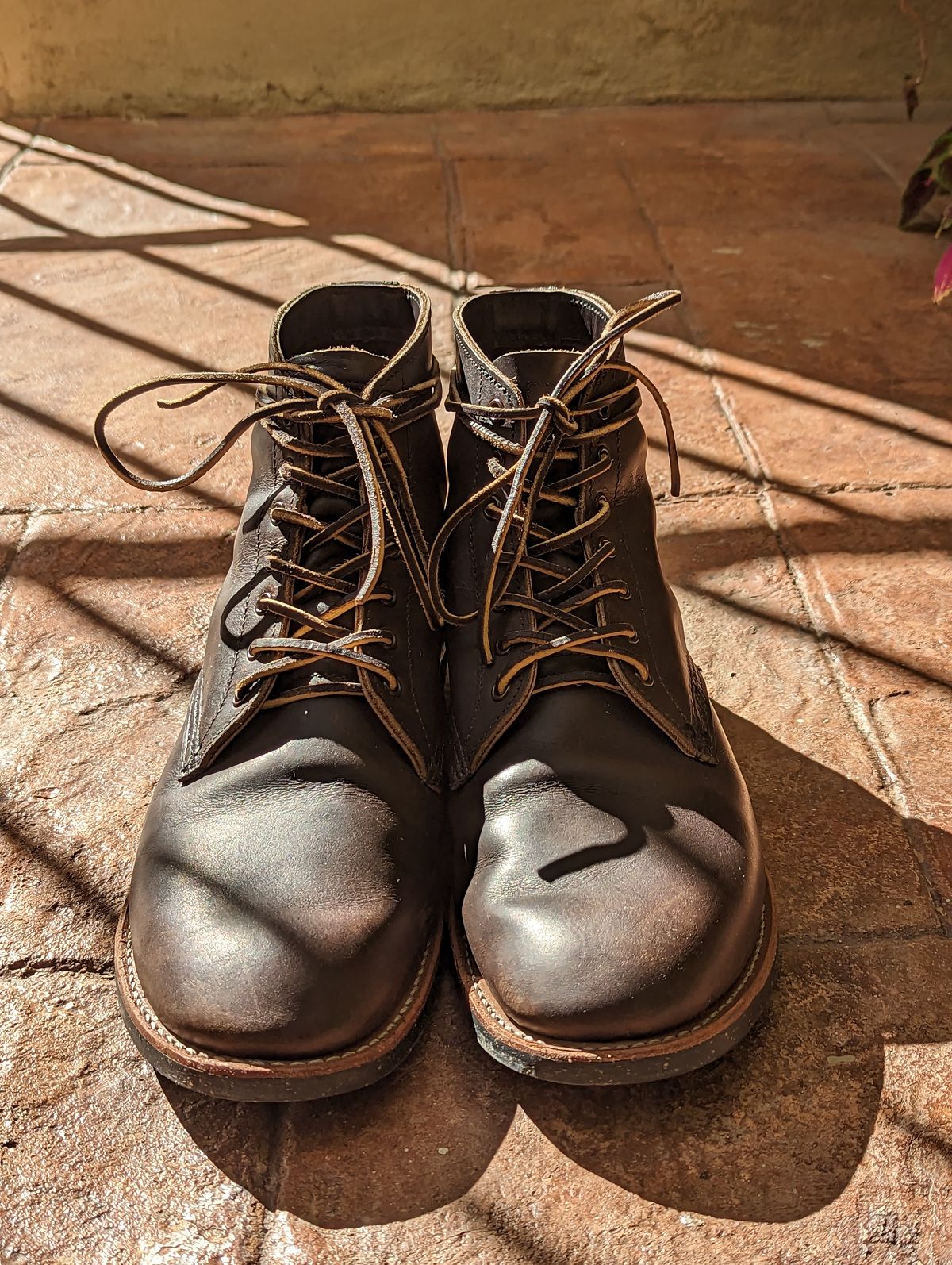 Photo by botasblancas on January 4, 2023 of the Red Wing Merchant in S.B. Foot Ebony Harness.