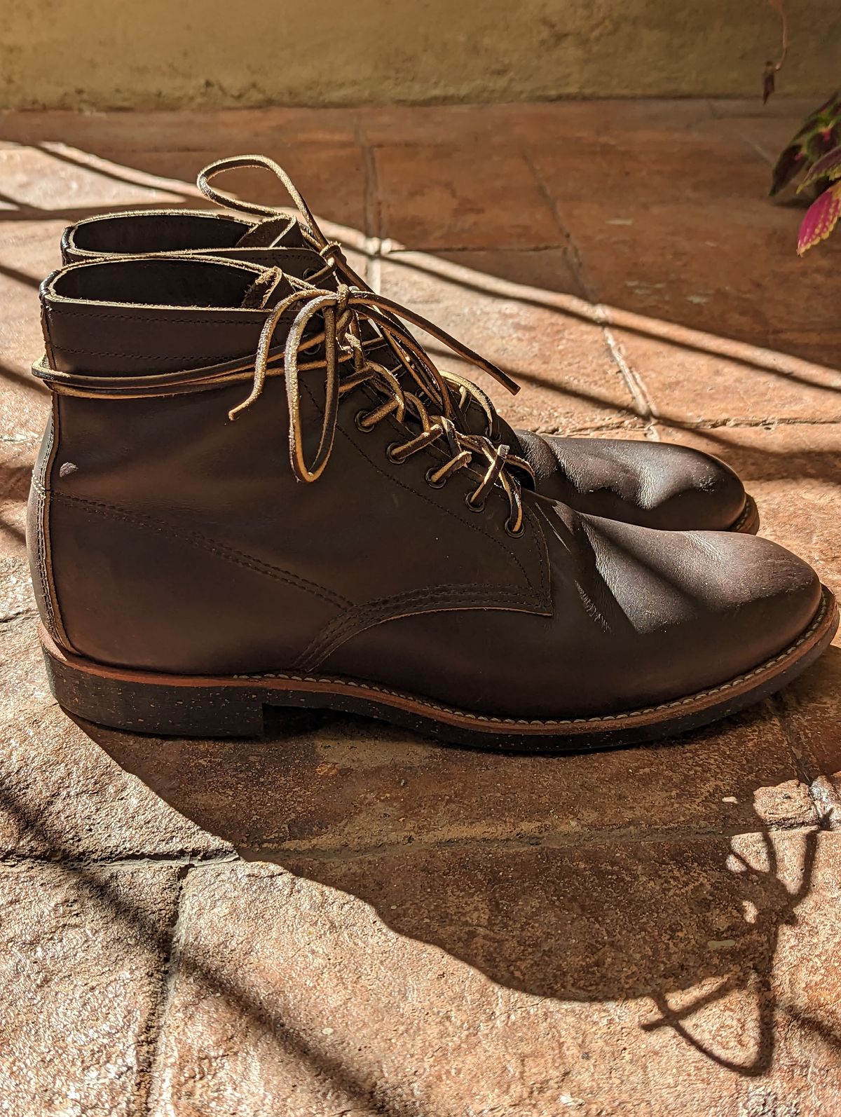 Photo by botasblancas on January 4, 2023 of the Red Wing Merchant in S.B. Foot Ebony Harness.