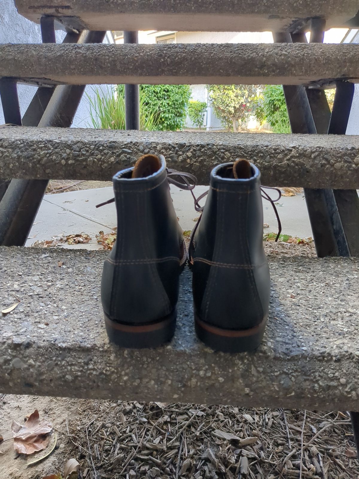 Photo by botasblancas on November 4, 2022 of the Red Wing Beckman Flatbox in S.B. Foot Black Klondike.