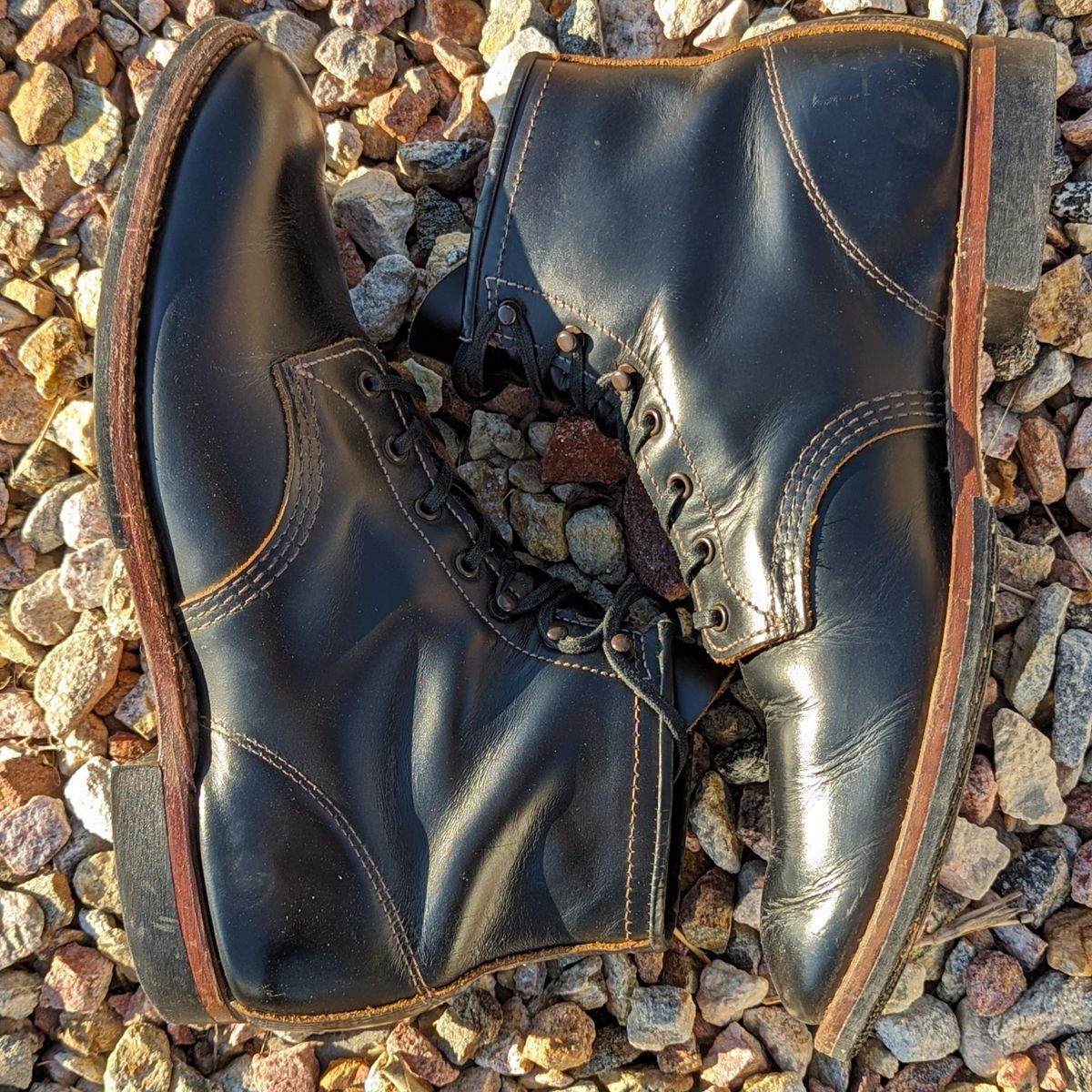 Photo by botasblancas on December 2, 2023 of the Red Wing Beckman Flatbox in S.B. Foot Black Klondike.