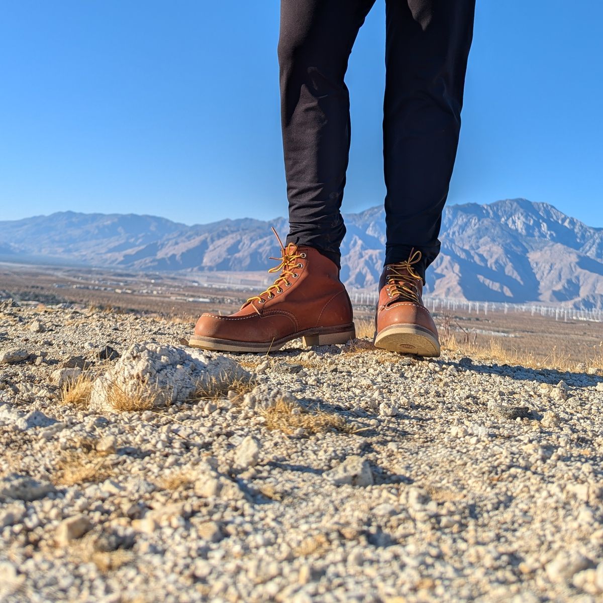 Photo by botasblancas on October 15, 2024 of the Red Wing 6-Inch Classic Moc in S.B. Foot Oro Legacy.