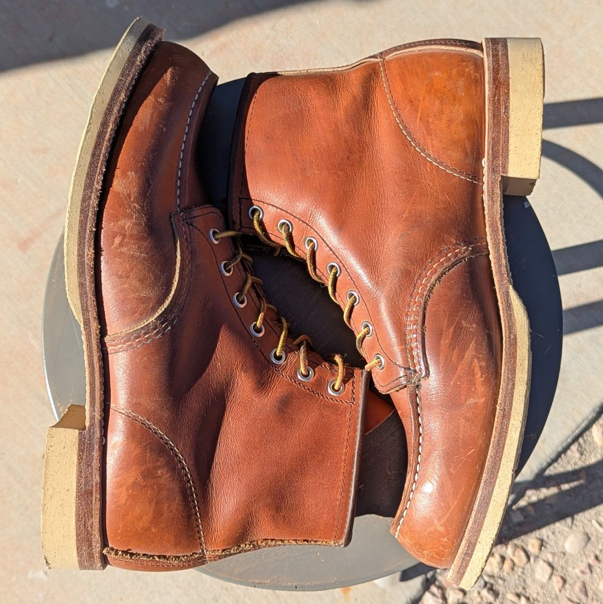 Photo by botasblancas on December 5, 2024 of the Red Wing 6-Inch Classic Moc in S.B. Foot Oro Legacy.