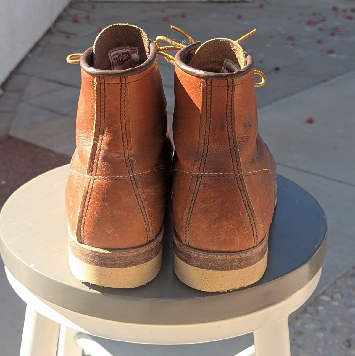 Photo by botasblancas on February 4, 2025 of the Red Wing 6-Inch Classic Moc in S.B. Foot Oro Legacy.