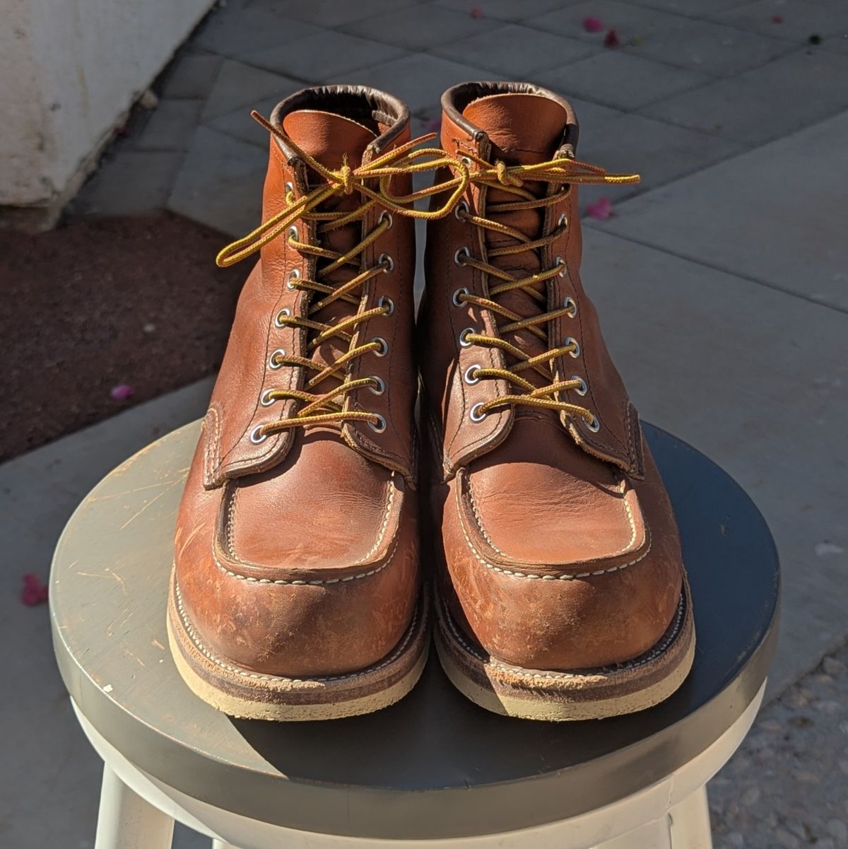 Photo by botasblancas on February 4, 2025 of the Red Wing 6-Inch Classic Moc in S.B. Foot Oro Legacy.