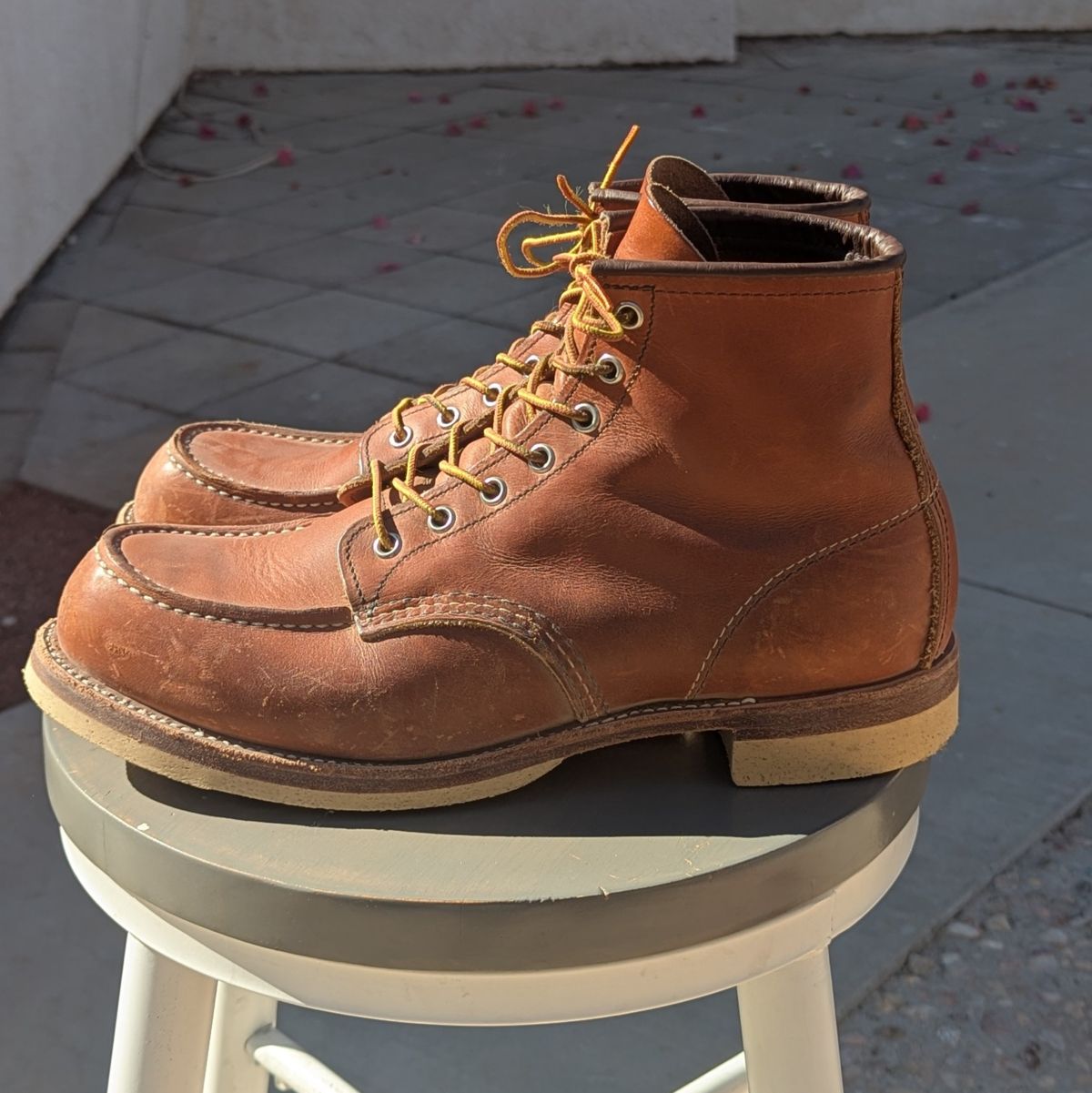 Photo by botasblancas on February 4, 2025 of the Red Wing 6-Inch Classic Moc in S.B. Foot Oro Legacy.