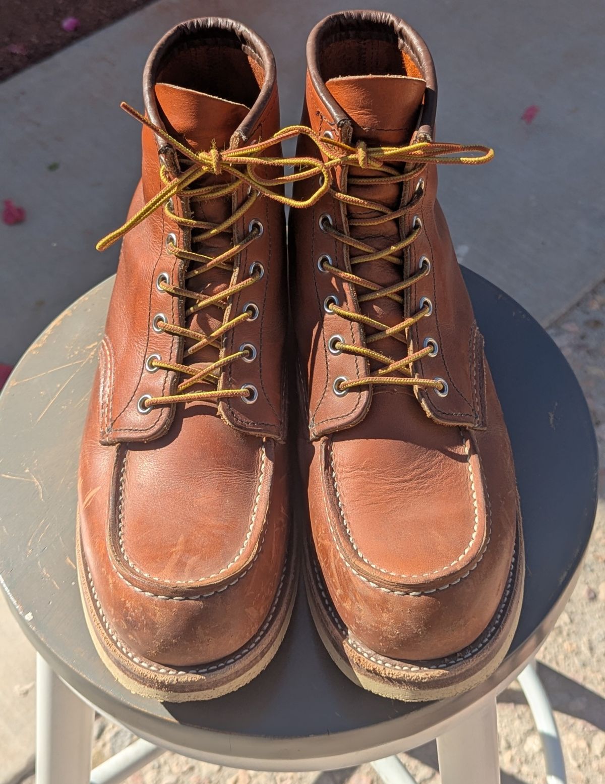 Photo by botasblancas on February 4, 2025 of the Red Wing 6-Inch Classic Moc in S.B. Foot Oro Legacy.