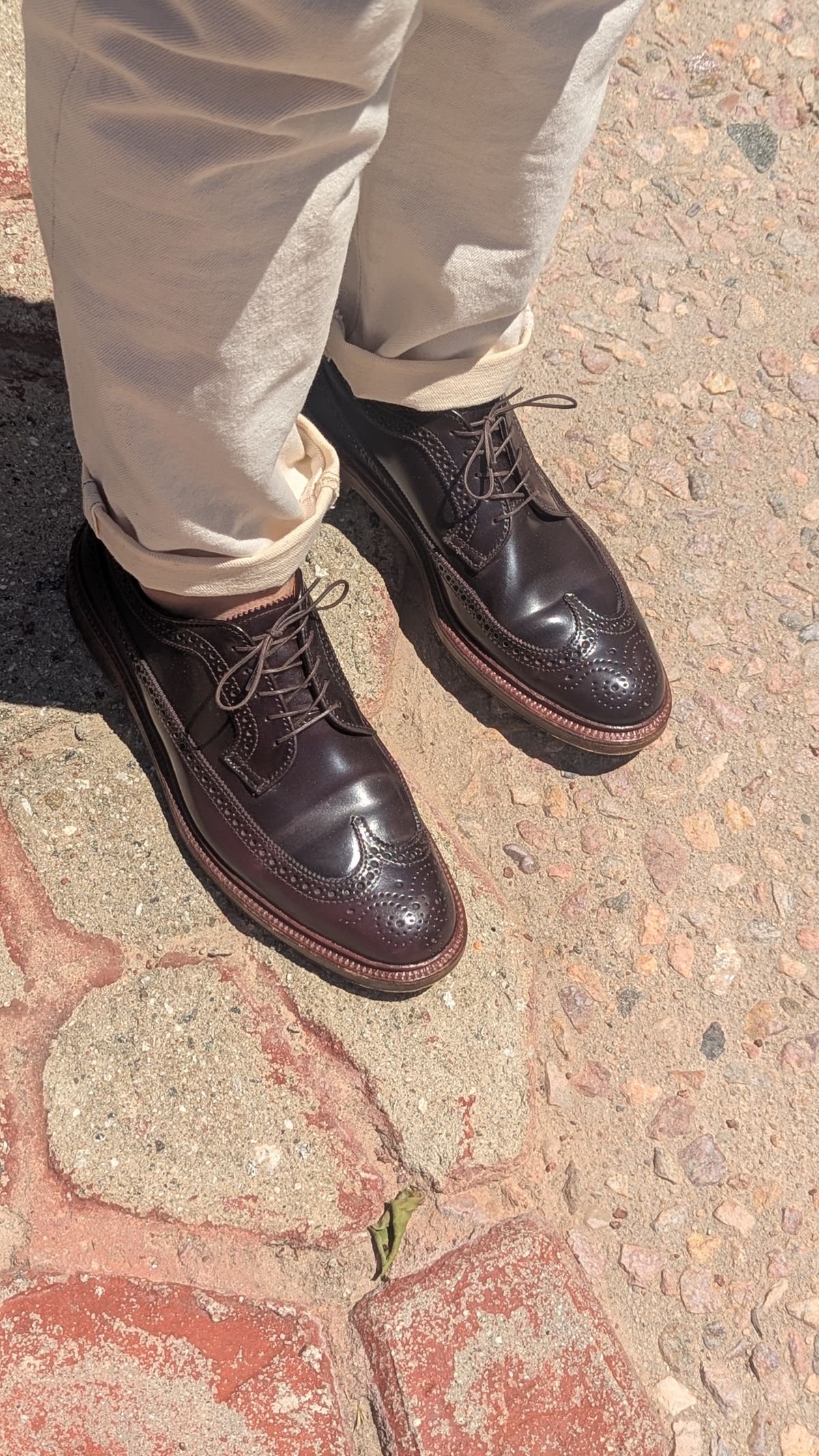 Photo by botasblancas on June 7, 2025 of the Alden Long Wing Blucher in Horween Color 8 Shell Cordovan.