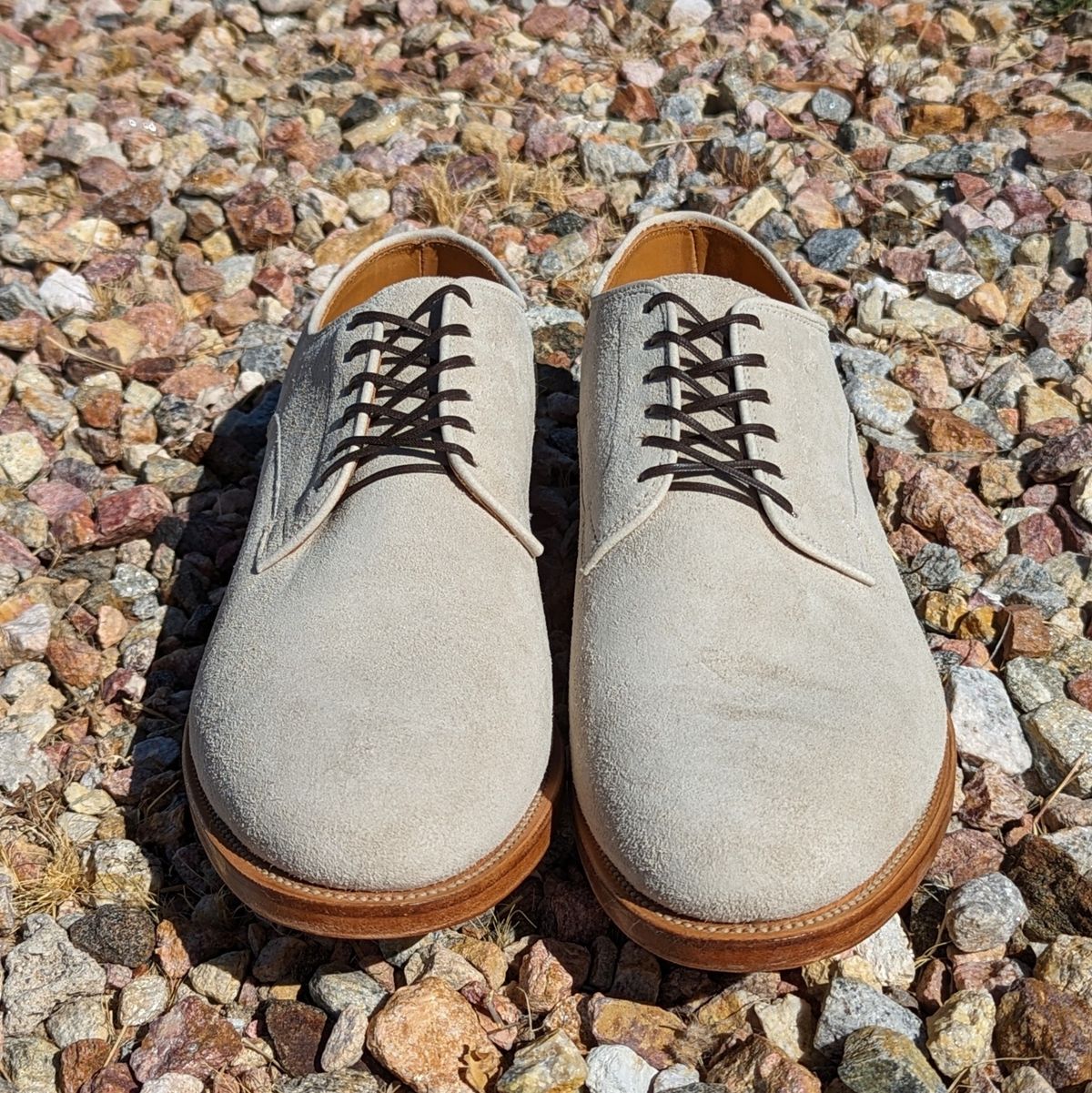 Photo by botasblancas on June 8, 2024 of the Viberg Derby Shoe in C.F. Stead Angora Kudu Suede.