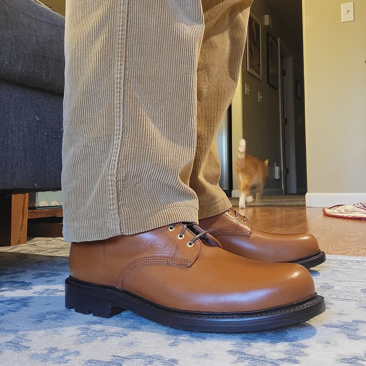 Photo by JoshankRedemption on November 28, 2024 of the Grant Stone Baroda in Badalassi Carlo Saddle Tan Minerva.