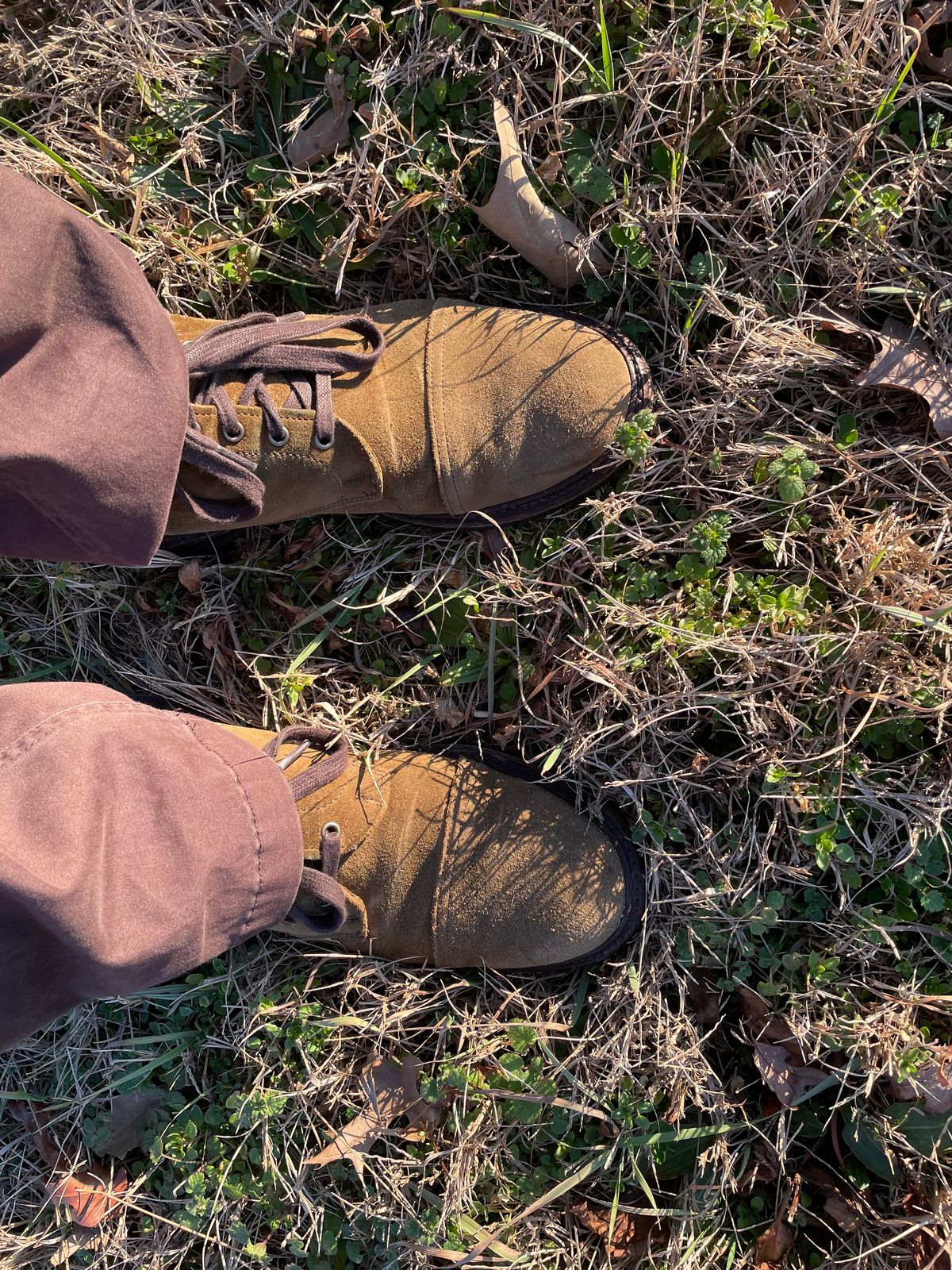 Photo by money2boot on January 5, 2023 of the Allen Edmonds Unlisted Model in Unknown Leather.