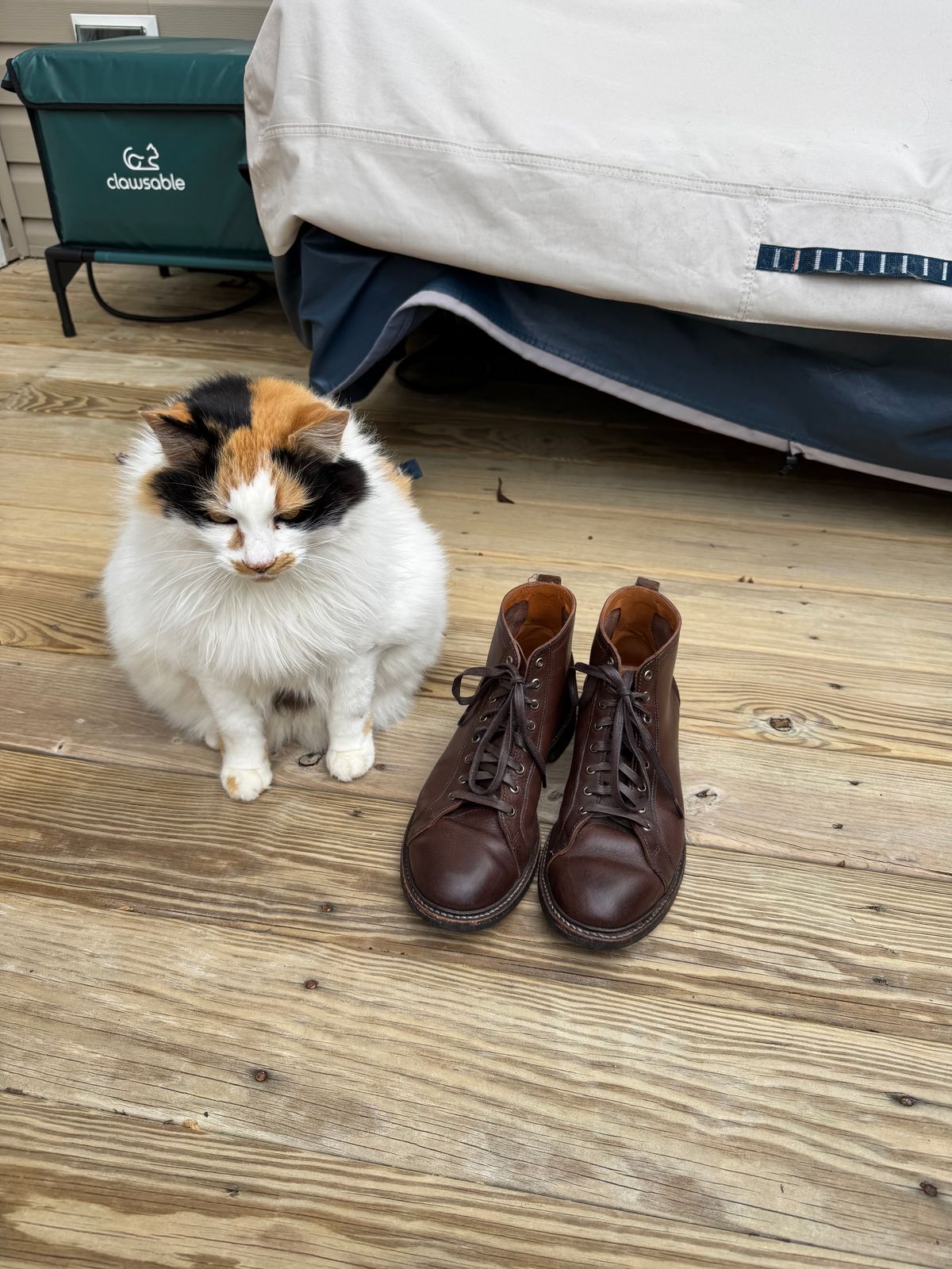 Photo by money2boot on January 3, 2025 of the Allen Edmonds Discovery Lace To Toe in Allen Edmonds Brown Vegetable Tanned.