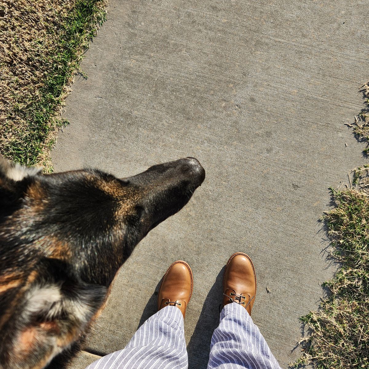 Photo by wildflowersnboots on October 1, 2024 of the Grant Stone Nora Boot in Horween Dune Chromexcel.