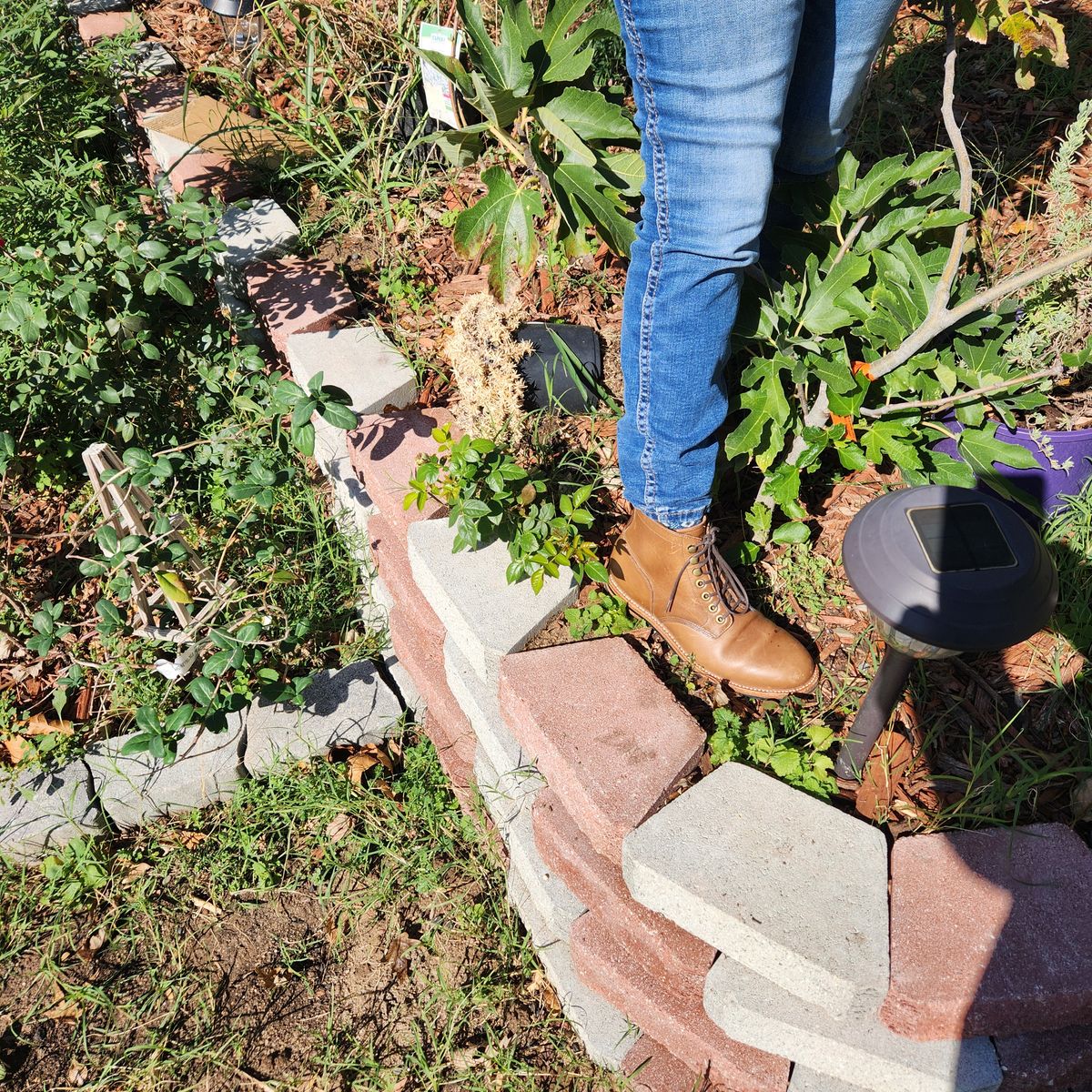 Photo by wildflowersnboots on October 29, 2024 of the Grant Stone Nora Boot in Horween Dune Chromexcel.