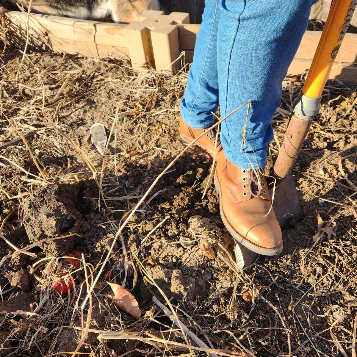 Photo by wildflowersnboots on December 5, 2024 of the Grant Stone Nora Boot in Horween Dune Chromexcel.
