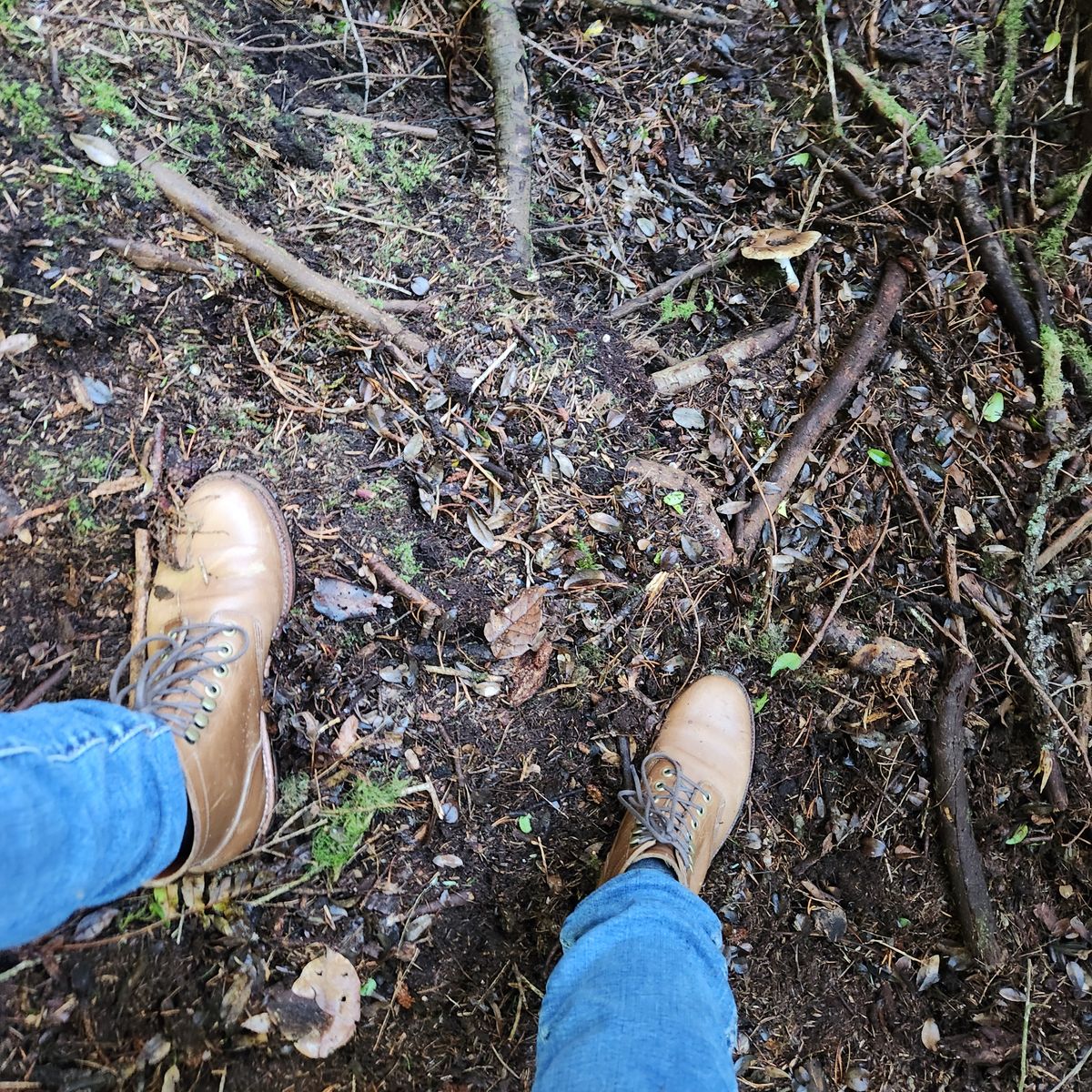 Photo by wildflowersnboots on November 7, 2024 of the Grant Stone Nora Boot in Horween Dune Chromexcel.