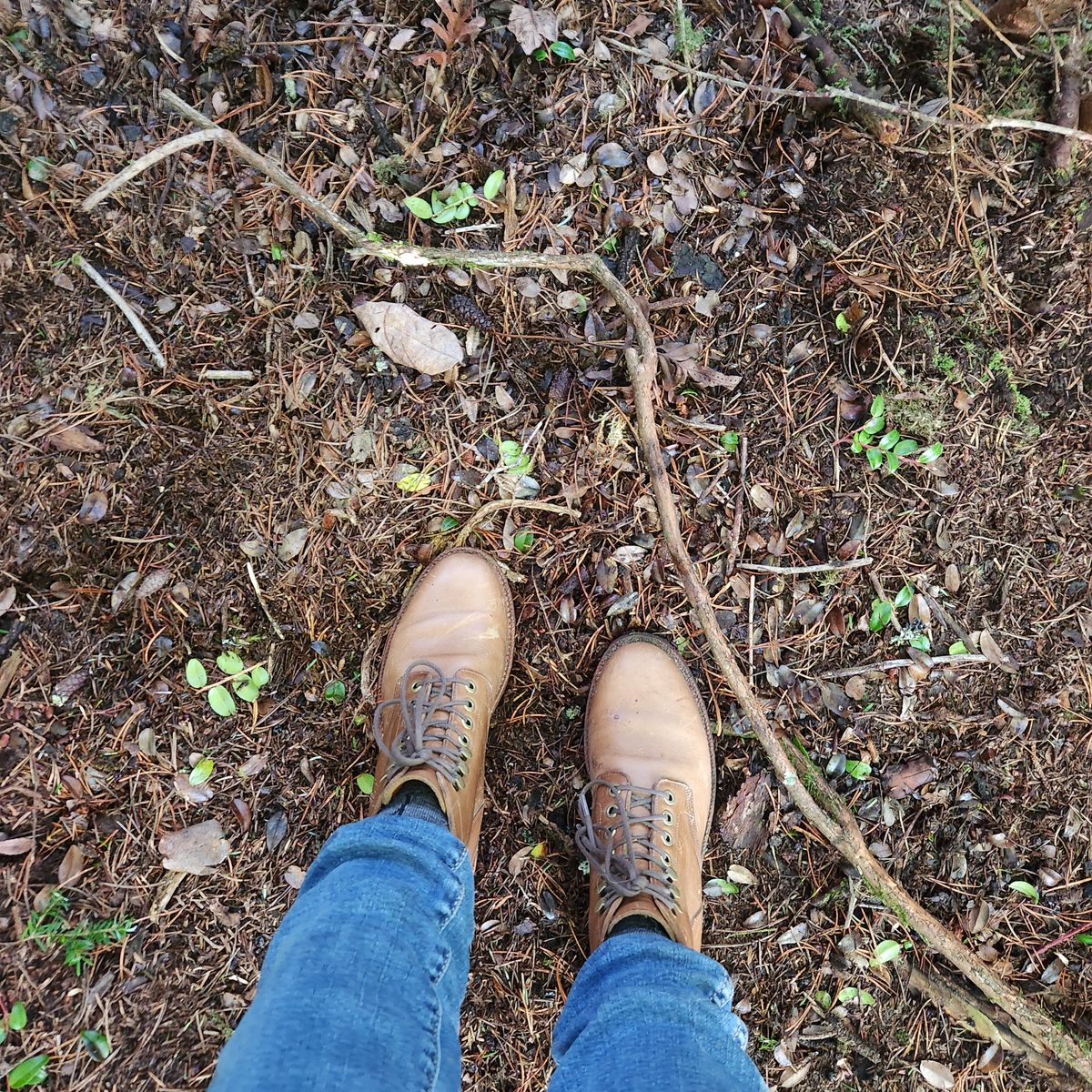Photo by wildflowersnboots on November 7, 2024 of the Grant Stone Nora Boot in Horween Dune Chromexcel.