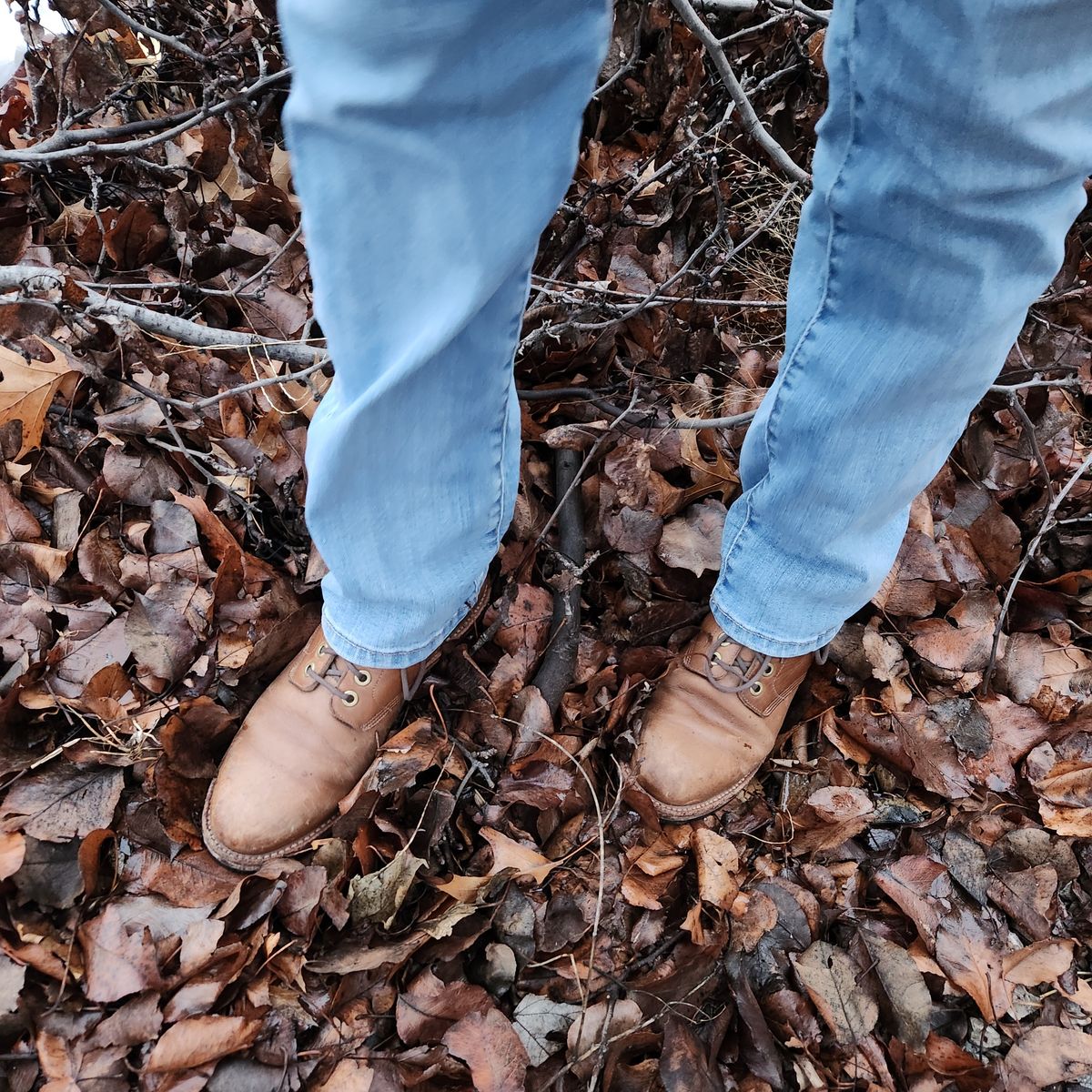 Photo by wildflowersnboots on February 5, 2025 of the Grant Stone Nora Boot in Horween Dune Chromexcel.