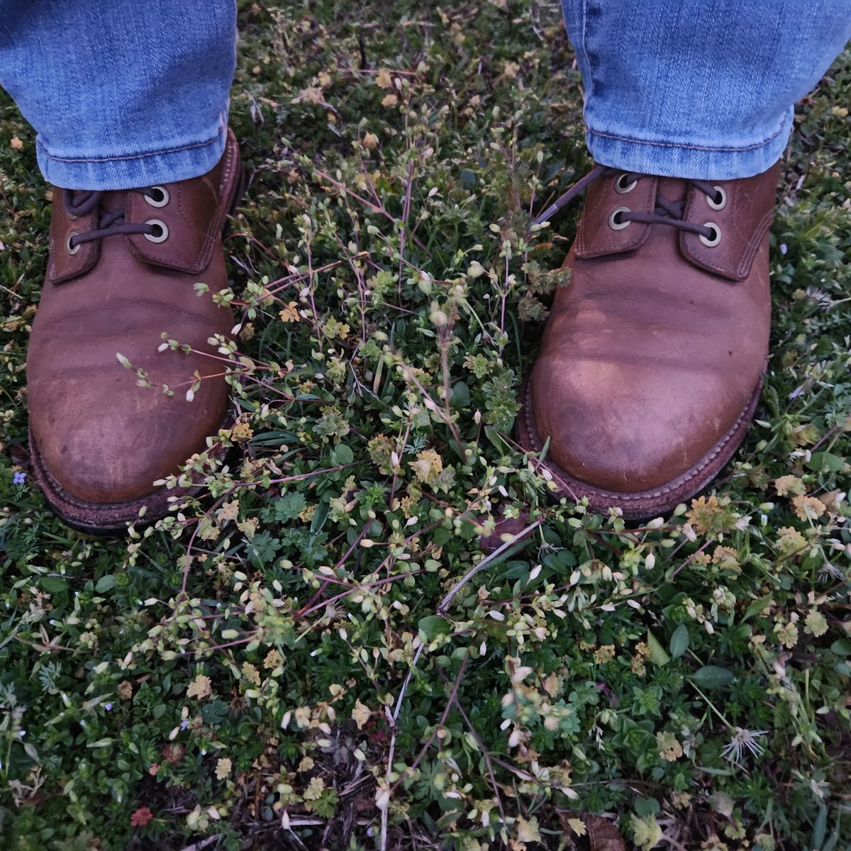 Photo by wildflowersnboots on April 6, 2025 of the Grant Stone Nora Boot in Horween Dune Chromexcel.
