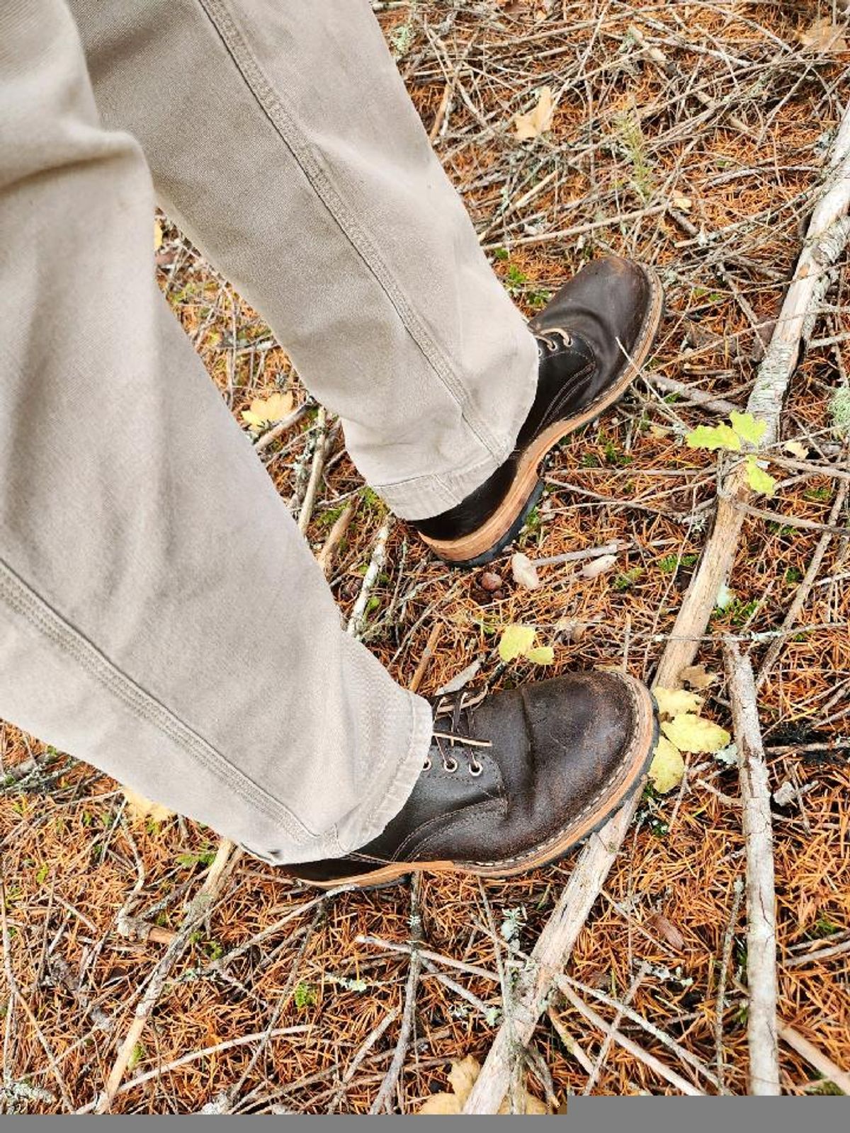 Photo by wildflowersnboots on November 5, 2024 of the White's MP 55 in Horween Dark Brown Waxed Flesh.
