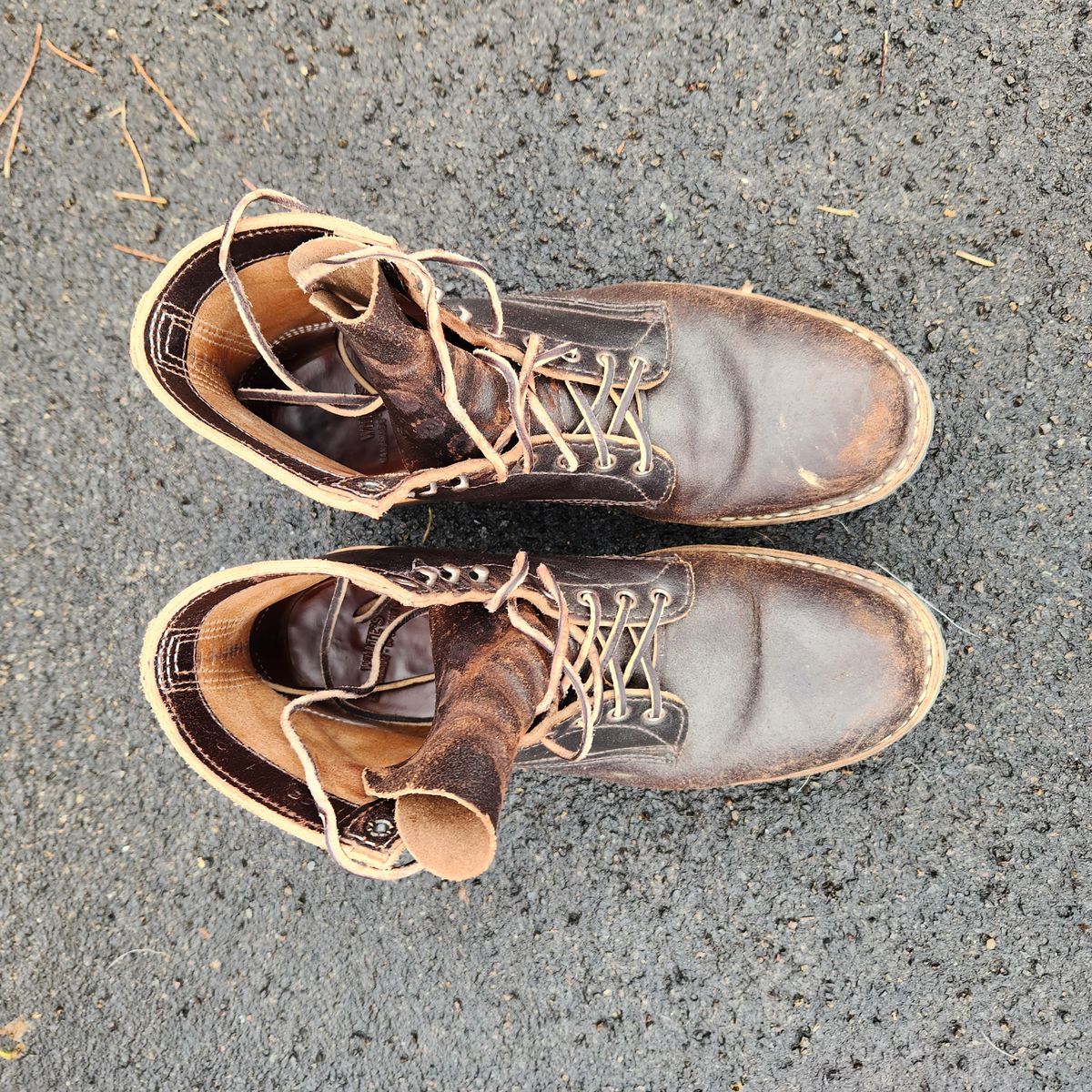 Photo by wildflowersnboots on November 5, 2024 of the White's MP 55 in Horween Dark Brown Waxed Flesh.