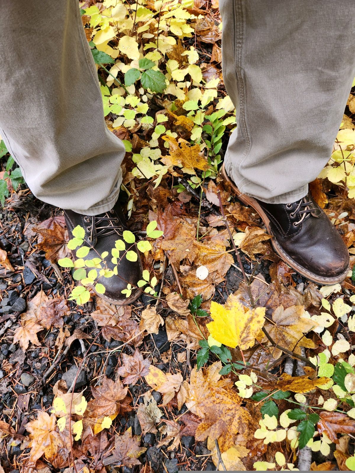 Photo by wildflowersnboots on October 20, 2024 of the White's MP 55 in Horween Dark Brown Waxed Flesh.