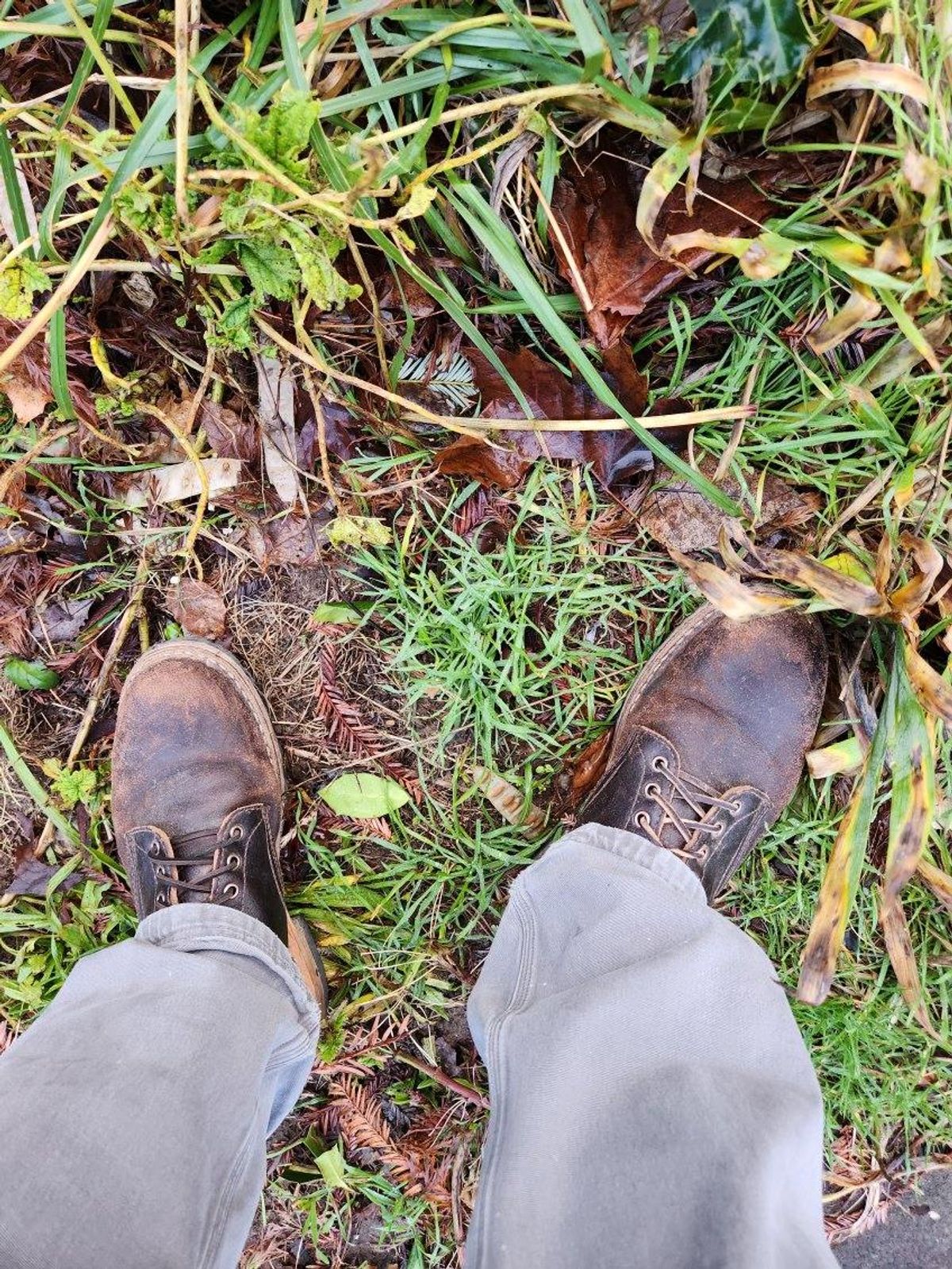 Photo by wildflowersnboots on January 5, 2025 of the White's MP 55 in Horween Dark Brown Waxed Flesh.