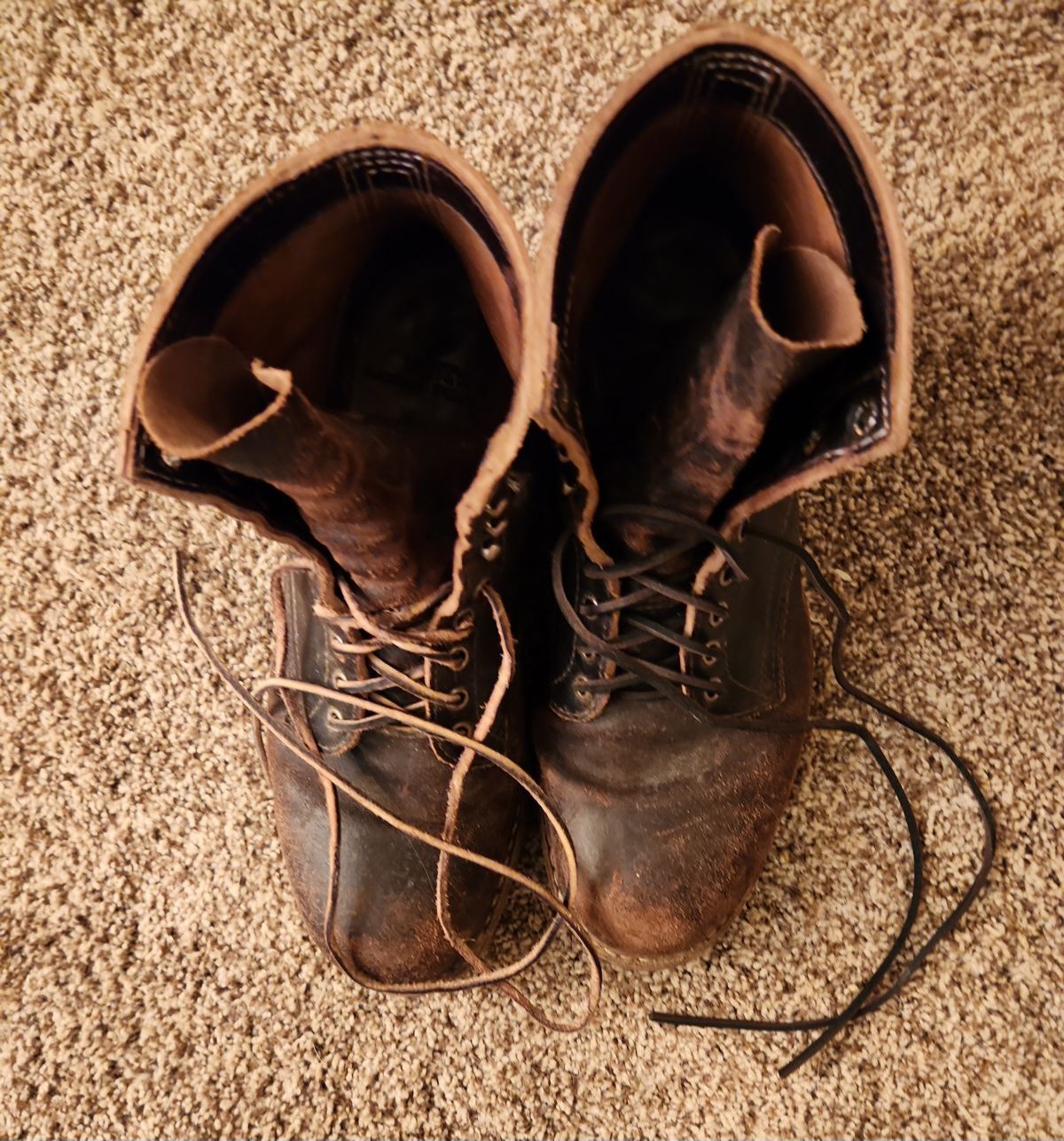 Photo by wildflowersnboots on January 5, 2025 of the White's MP 55 in Horween Dark Brown Waxed Flesh.