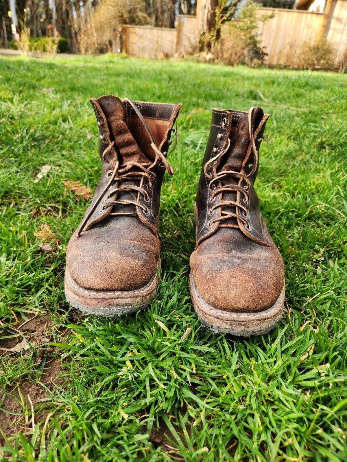 Photo by wildflowersnboots on March 5, 2025 of the White's MP 55 in Horween Dark Brown Waxed Flesh.